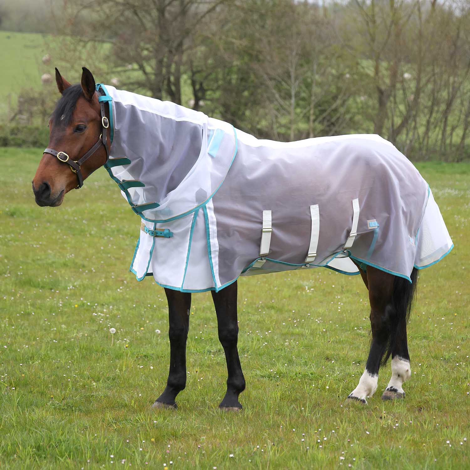 Highlander Fine Mesh Fly Sheet with Detachable Neck for Horses