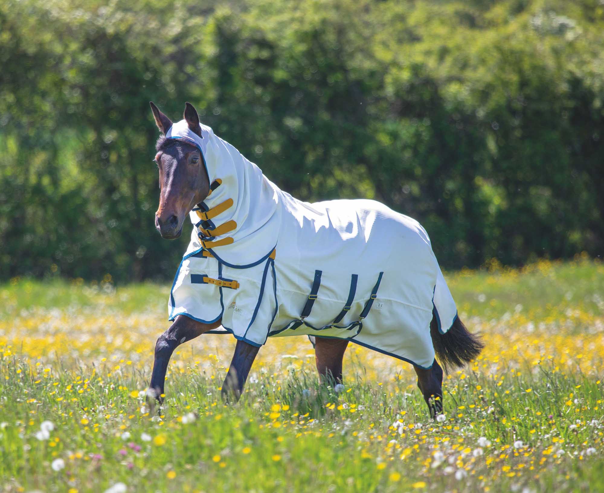 Highlander Plus Sweet-Itch Combo Horse Fly Sheet, 600 Denier - Image 2