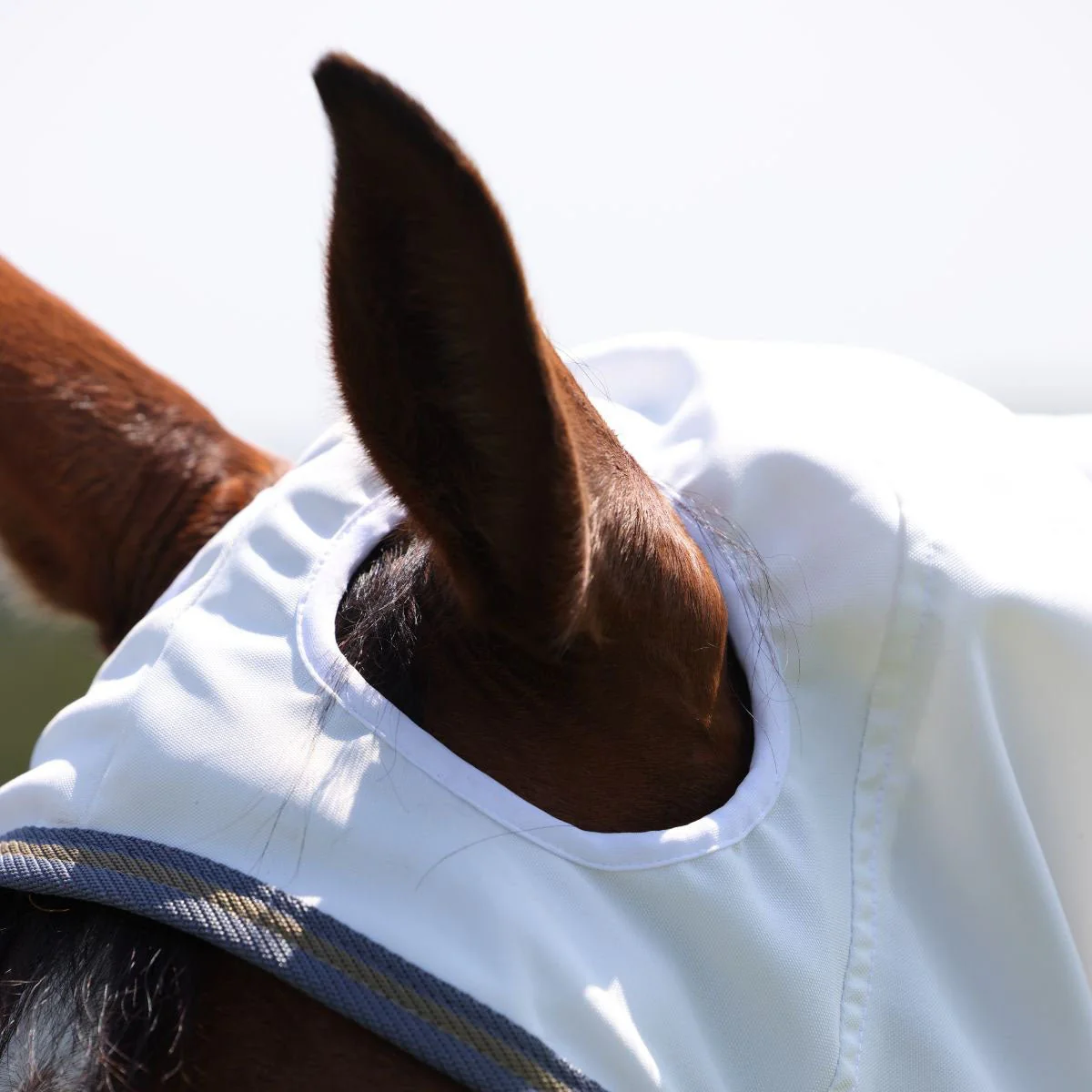 Highlander Plus Sweet-Itch Combo Horse Fly Sheet, 600 Denier - Image 3