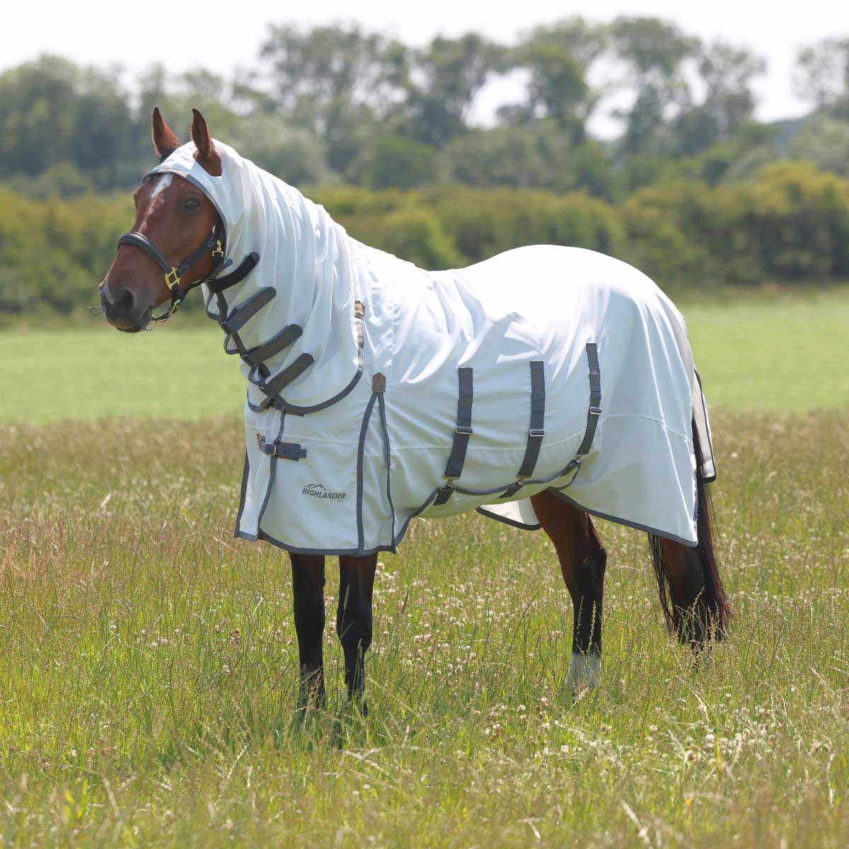 Highlander Plus Sweet-Itch Combo Horse Fly Sheet, 600 Denier - Image 1