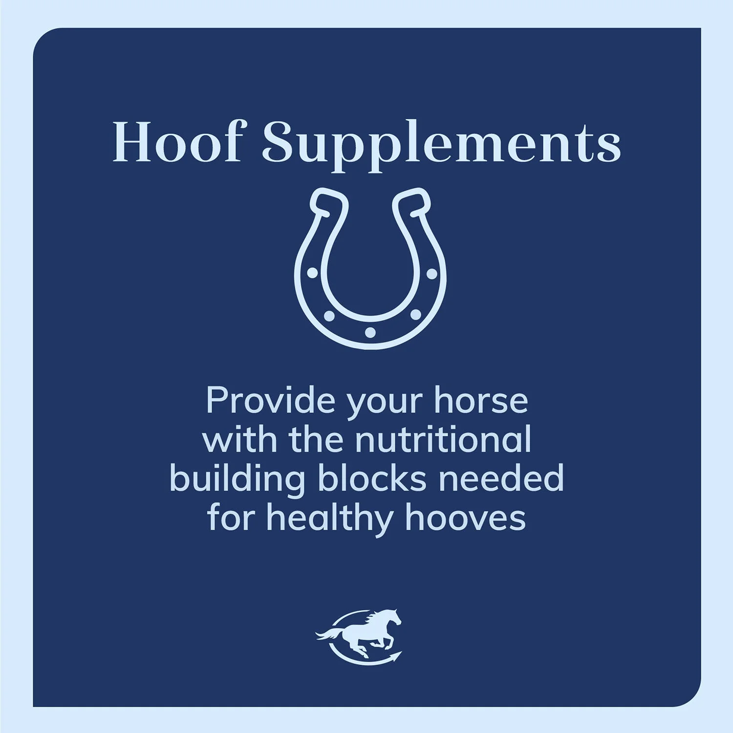 Hoof Biotin Powder, Hoof Supplement for Horses - Image 3