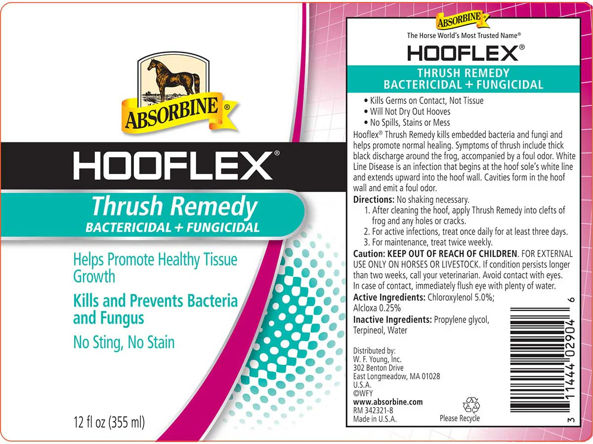 Hooflex Thrush Remedy - Image 2