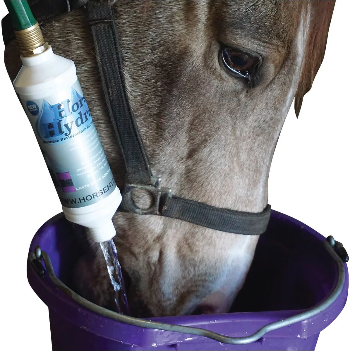Horse Hydrator Water Filtration System - Image 2