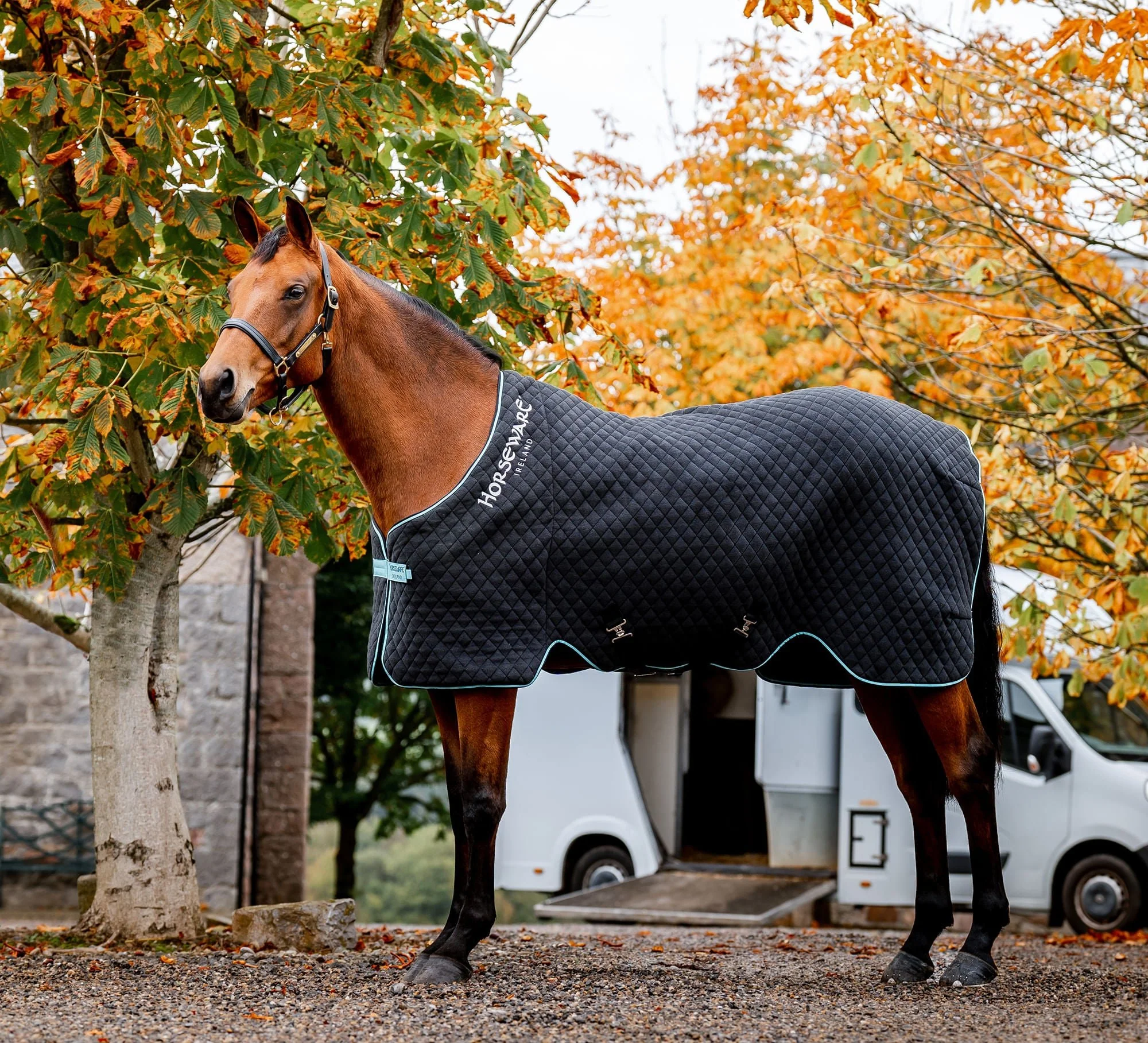 Horseware Autumn Cooler 50g Insulated Horse Rug - Lightweight Thermal Cooler with Mesh Panels & Travel Ready - Image 1