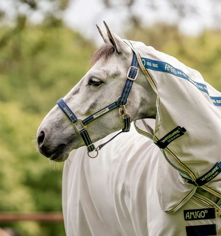 Horseware FieldSafe Halter - Image 2