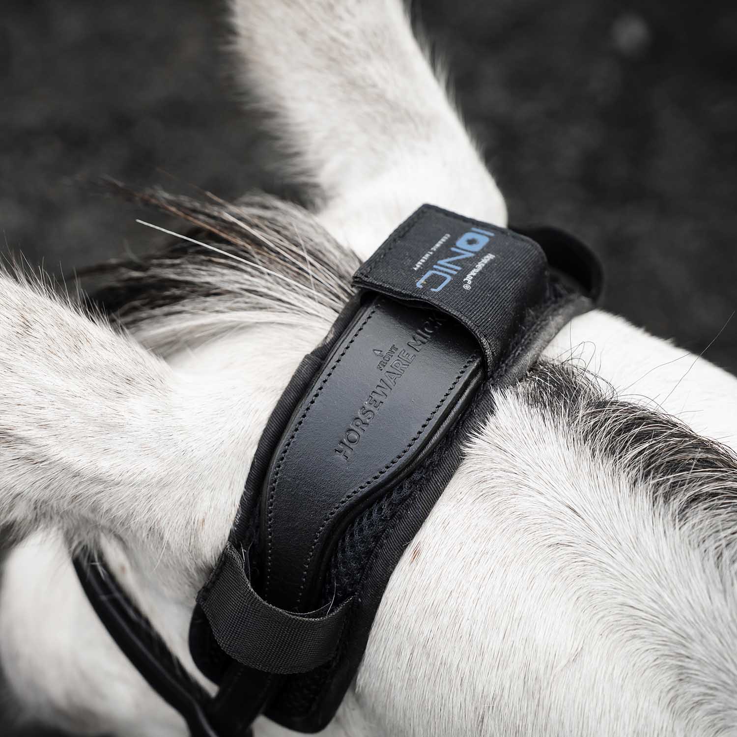 Horseware Ionic Poll Cover for Horses, Stress & Tension Relief Accessory - Image 1