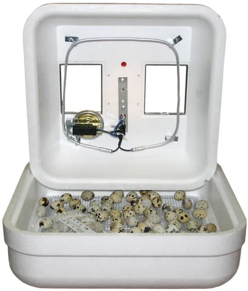 Hova-Bator Low Wattage Still-Air Incubator - Image 1