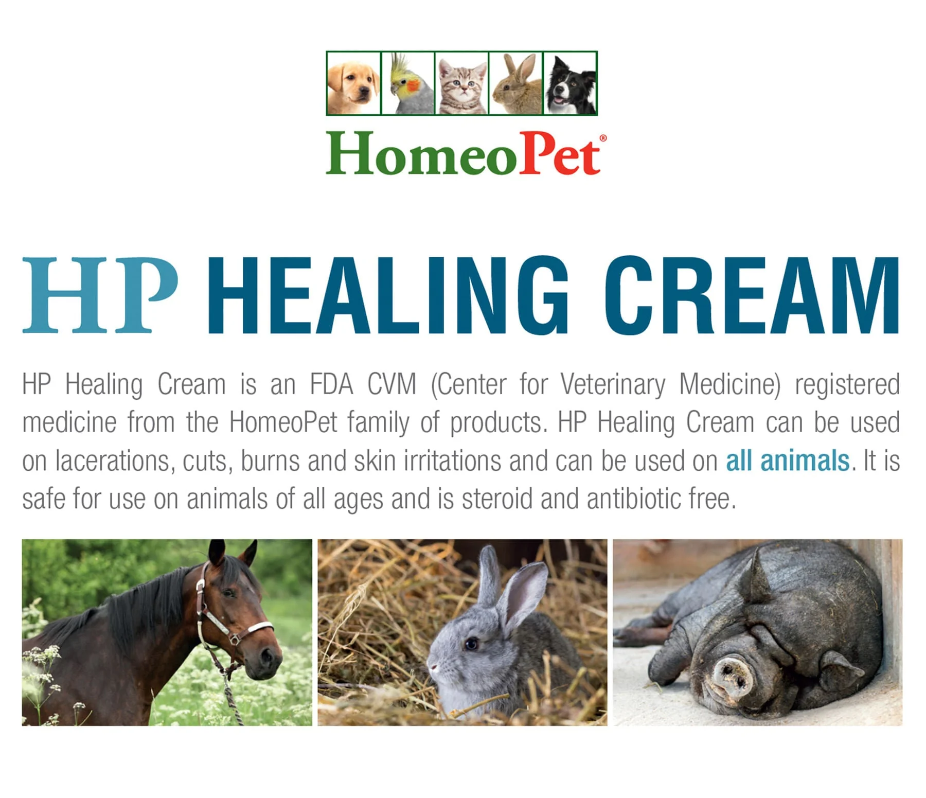 HomeoPet HP Healing Cream for Pets – Wound, Cut, Bite & Burn First Aid Cream, 14 g - Image 3