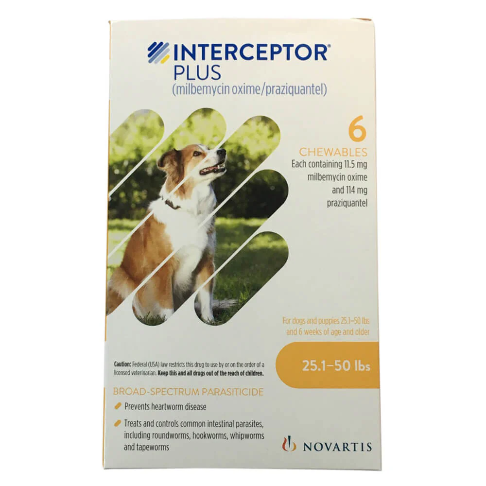 Rx Interceptor Plus Chewable Tablets for Dogs - Image 1