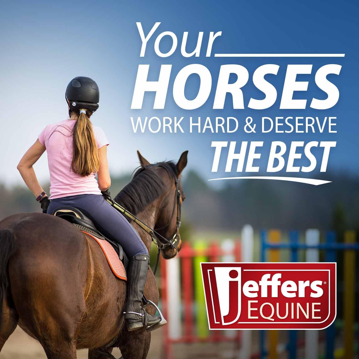 Jefers Horse Fleece Polo Wraps - Reusable Set of 4 Wraps and 1 Equine Health Record - Image 3