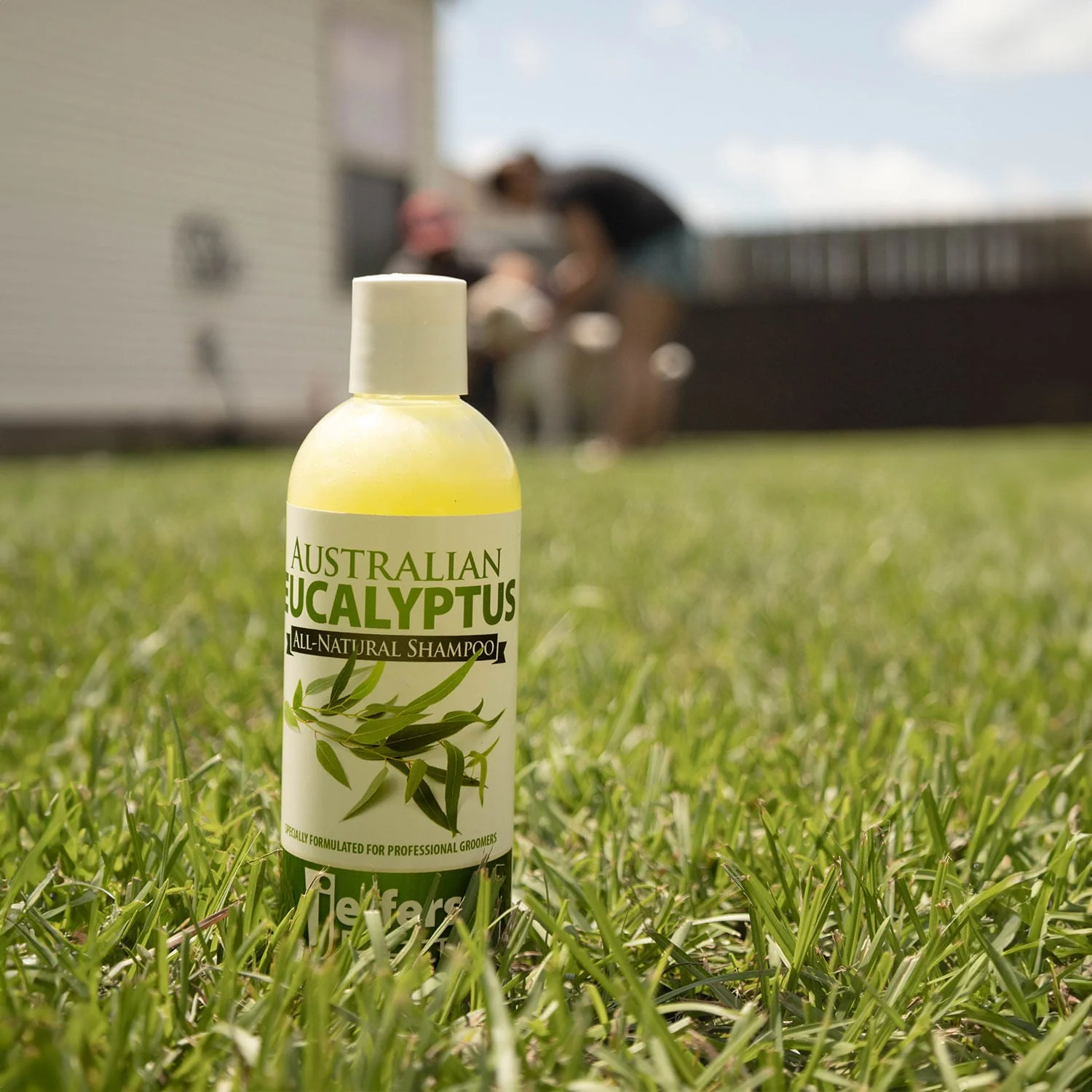 Jeffers Australian Eucalyptus All-Natural Dog Shampoo - Aids in Repelling Fleas, Ticks, Flies & Mosquitos - Image 3