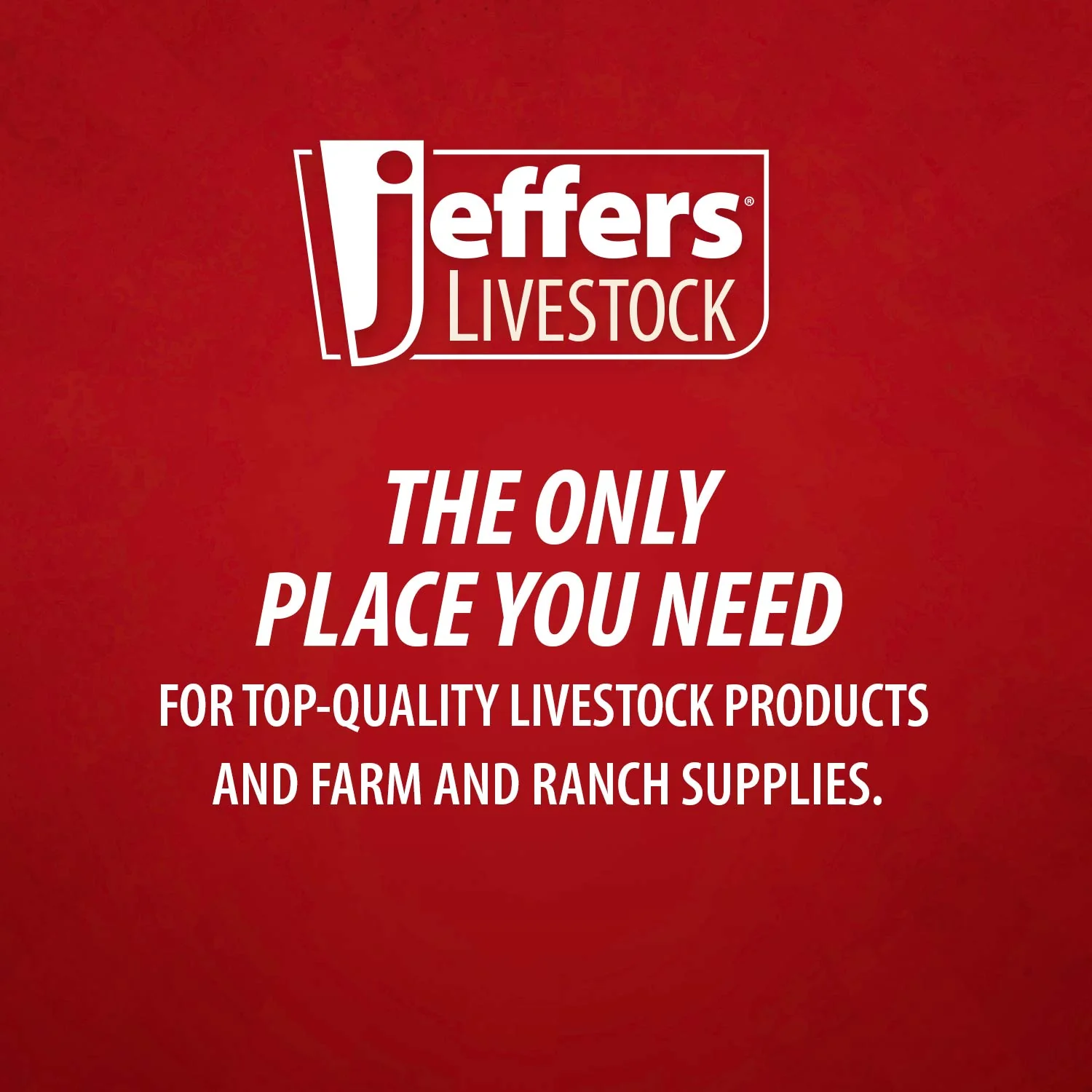 Jeffers Goat Halter - Image 3