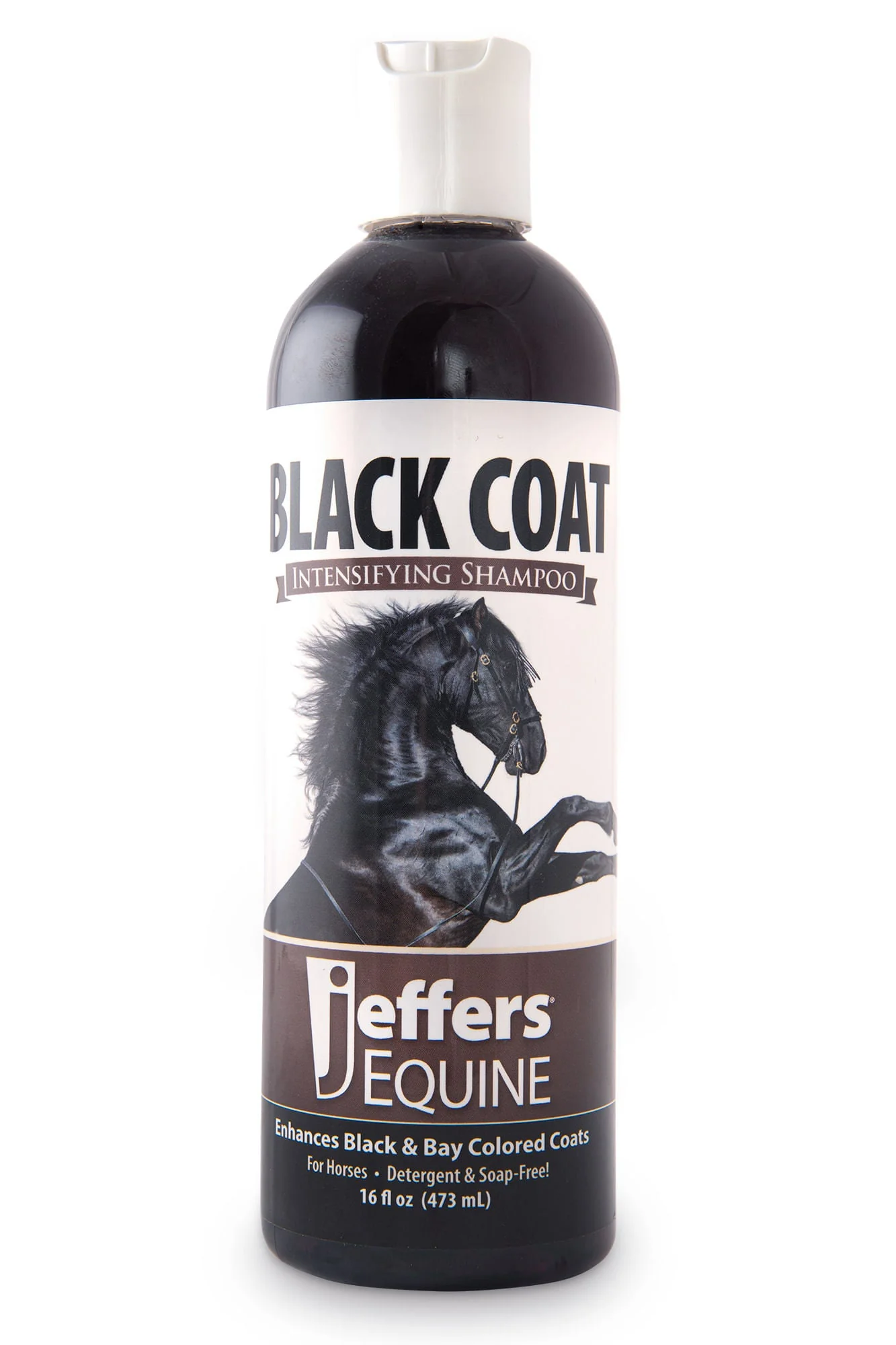 Jeffers Equine Black Coat Intensifying Horse Shampoo for Black & Bay Coats - Image 1