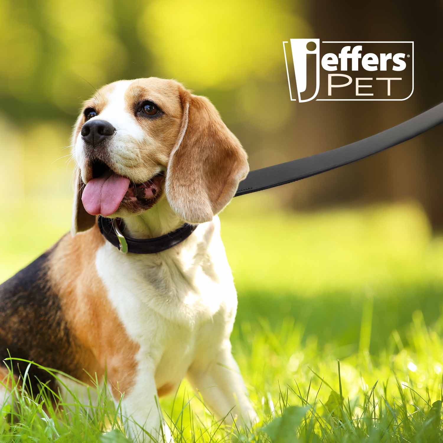 Jeffers Black Padded Leather Pet Leash - Image 3