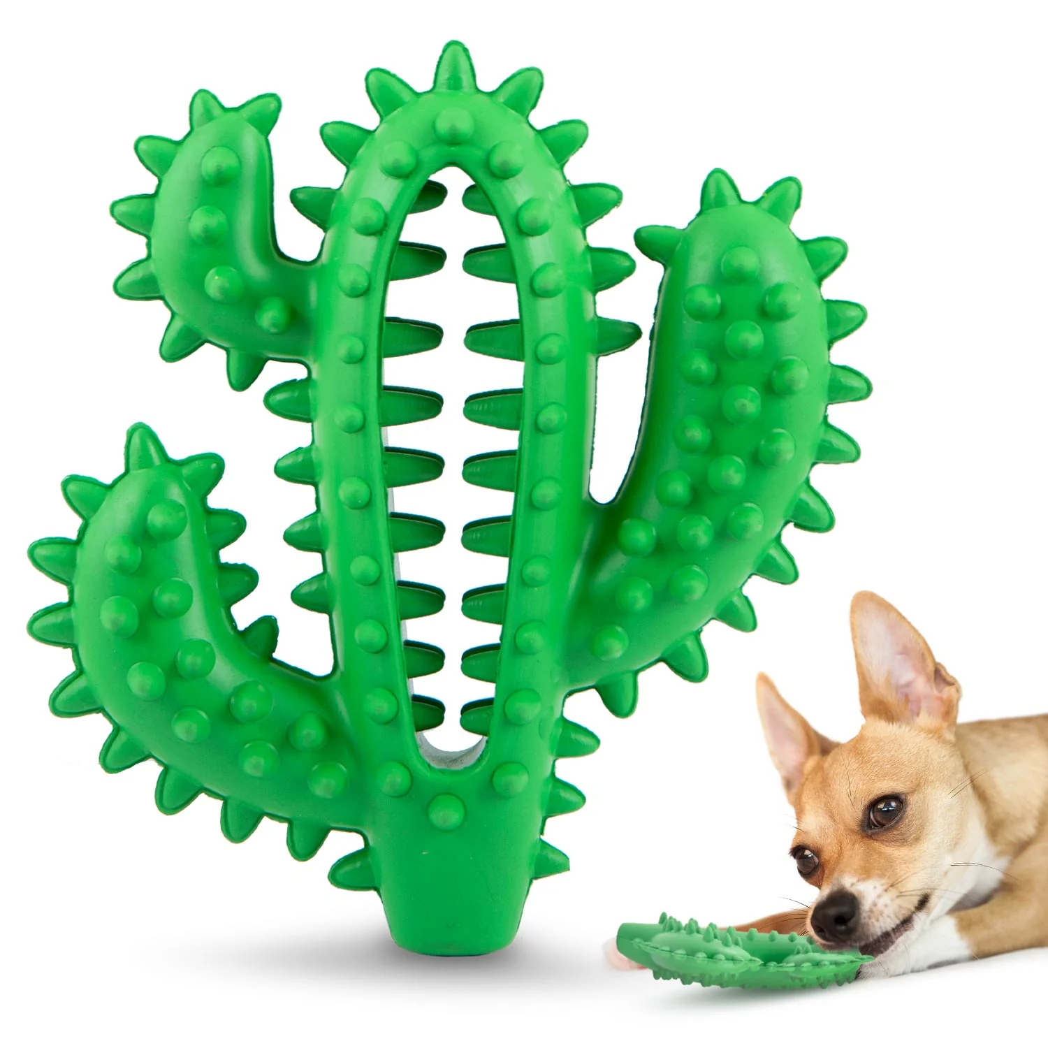 Jeffers Cactus Natural Rubber Dental Chew Toy for Dogs for Healthy Chewing Habits - Image 1