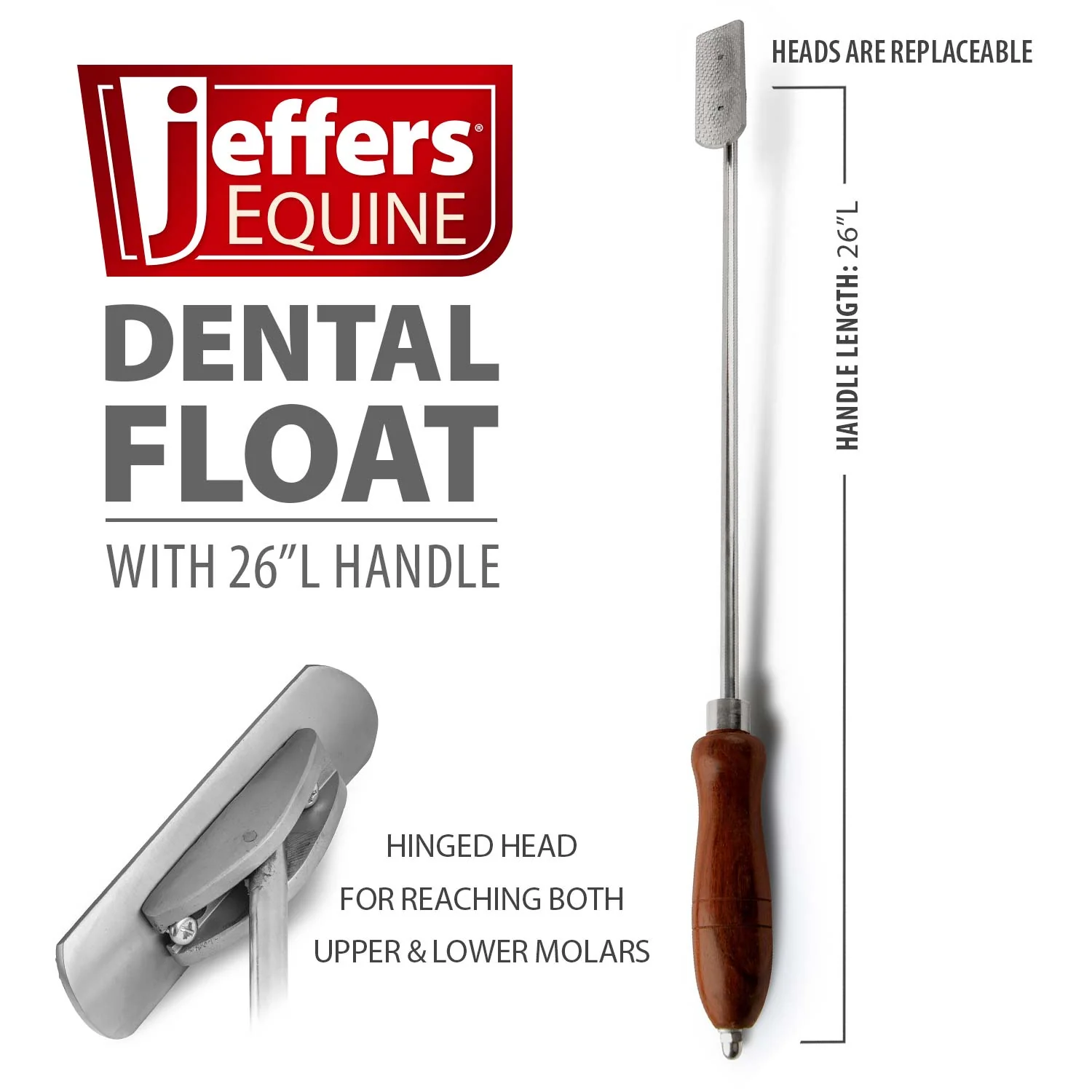 Jeffers Horse Dental Float (& Replacement Blades) - Image 2
