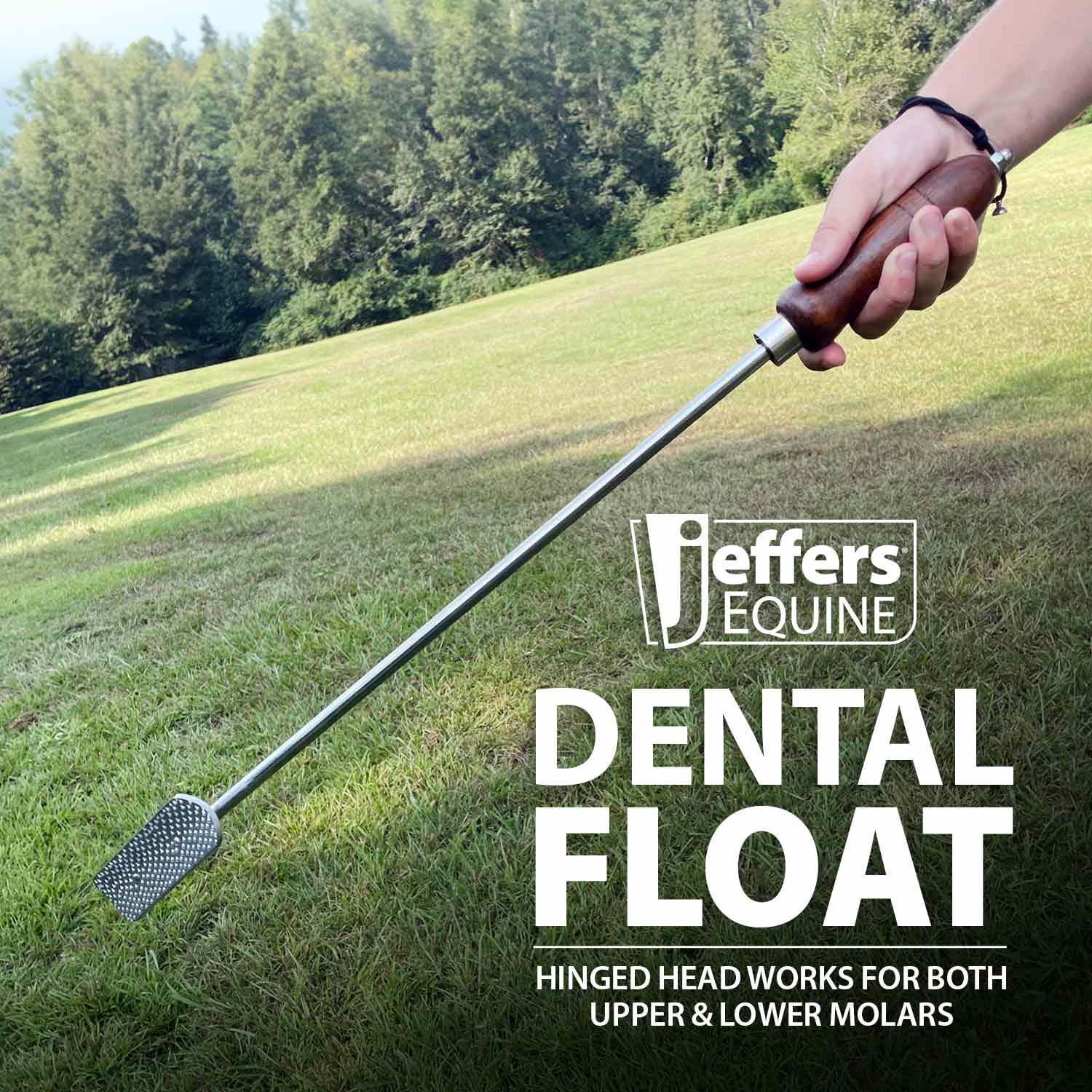 Jeffers Horse Dental Float (& Replacement Blades) - Image 3