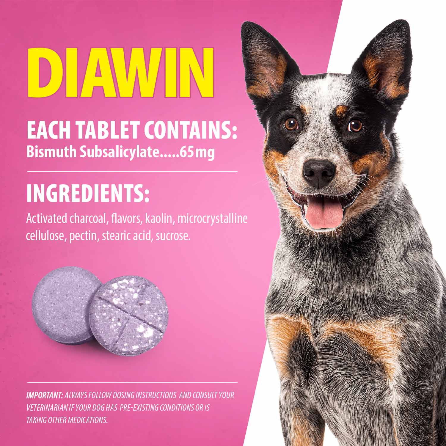 Jeffers Diawin Digestive Support for Dogs – Bismuth Tummy Relief for Diarrhea - Image 2