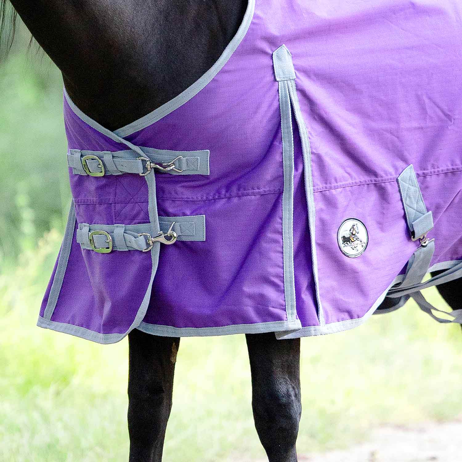 Jeffers Economy 600 Denier Lightweight Standard Neck Horse Turnout Sheet, 0 g Fill - Image 2