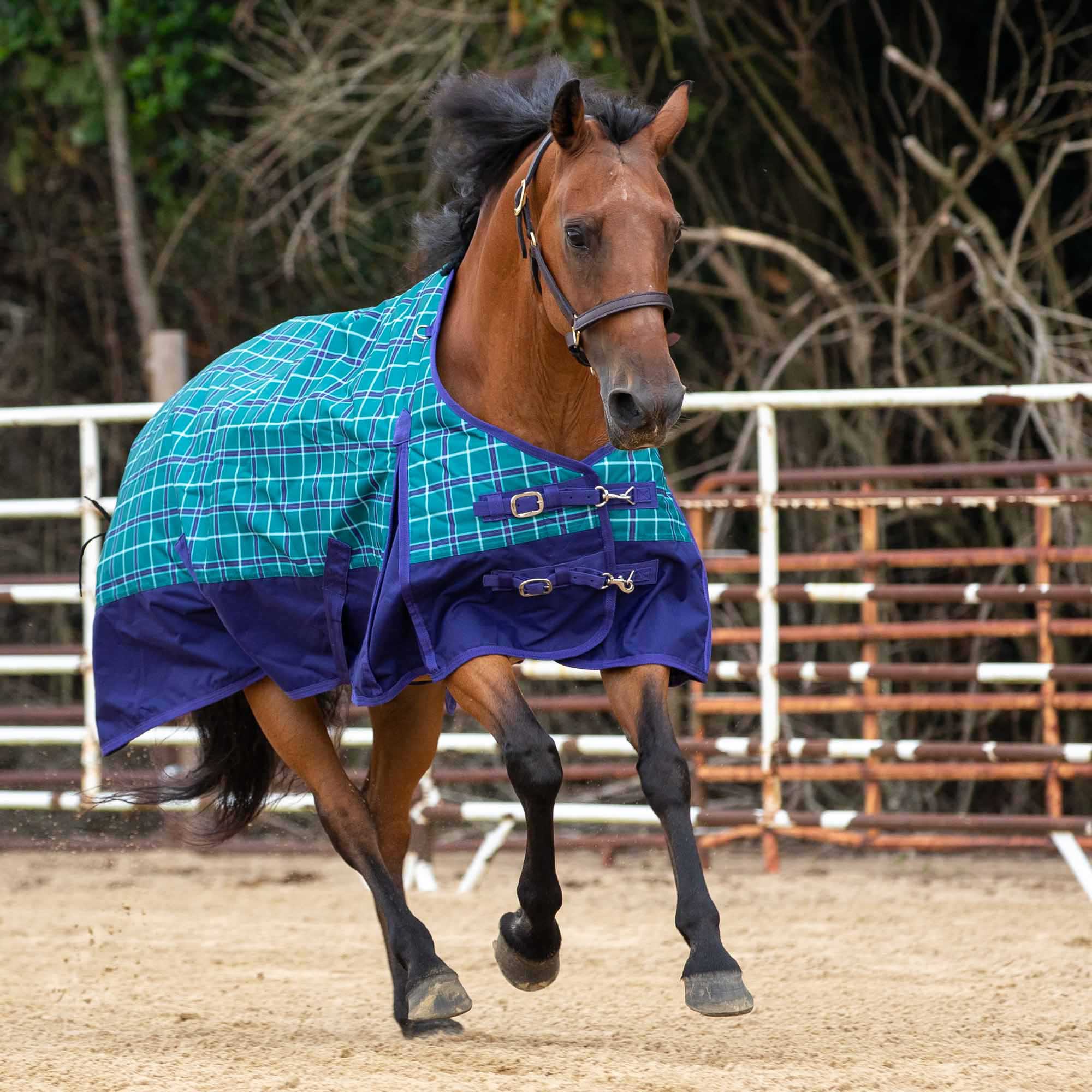 Jeffers Economy 600 Denier Plaid Medium-Weight Standard Neck Horse Turnout Blanket, 240 g - Image 1