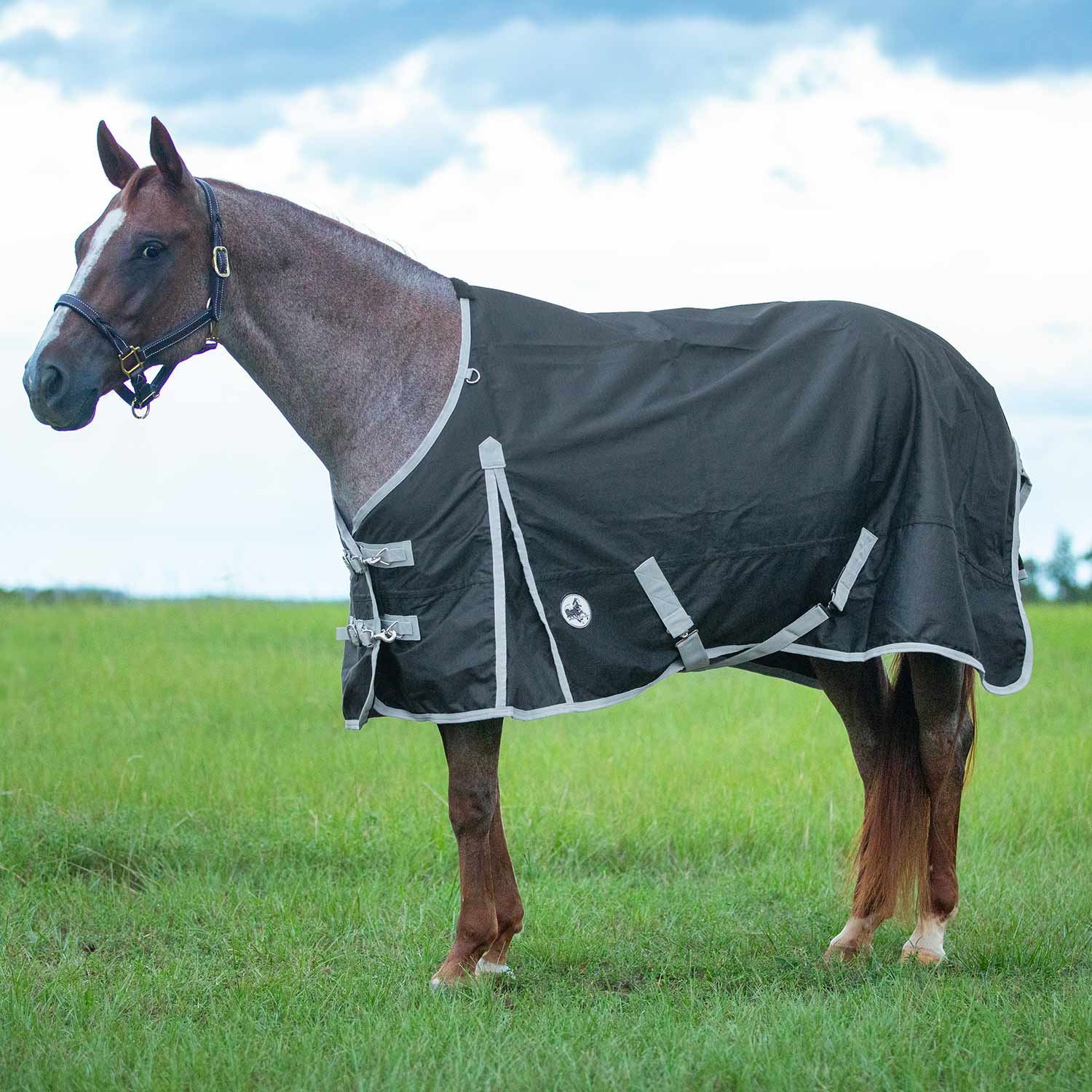 Jeffers Economy 600 Denier Medium Weight Standard Neck Horse Turnout Blanket, 240 Gram - Image 2