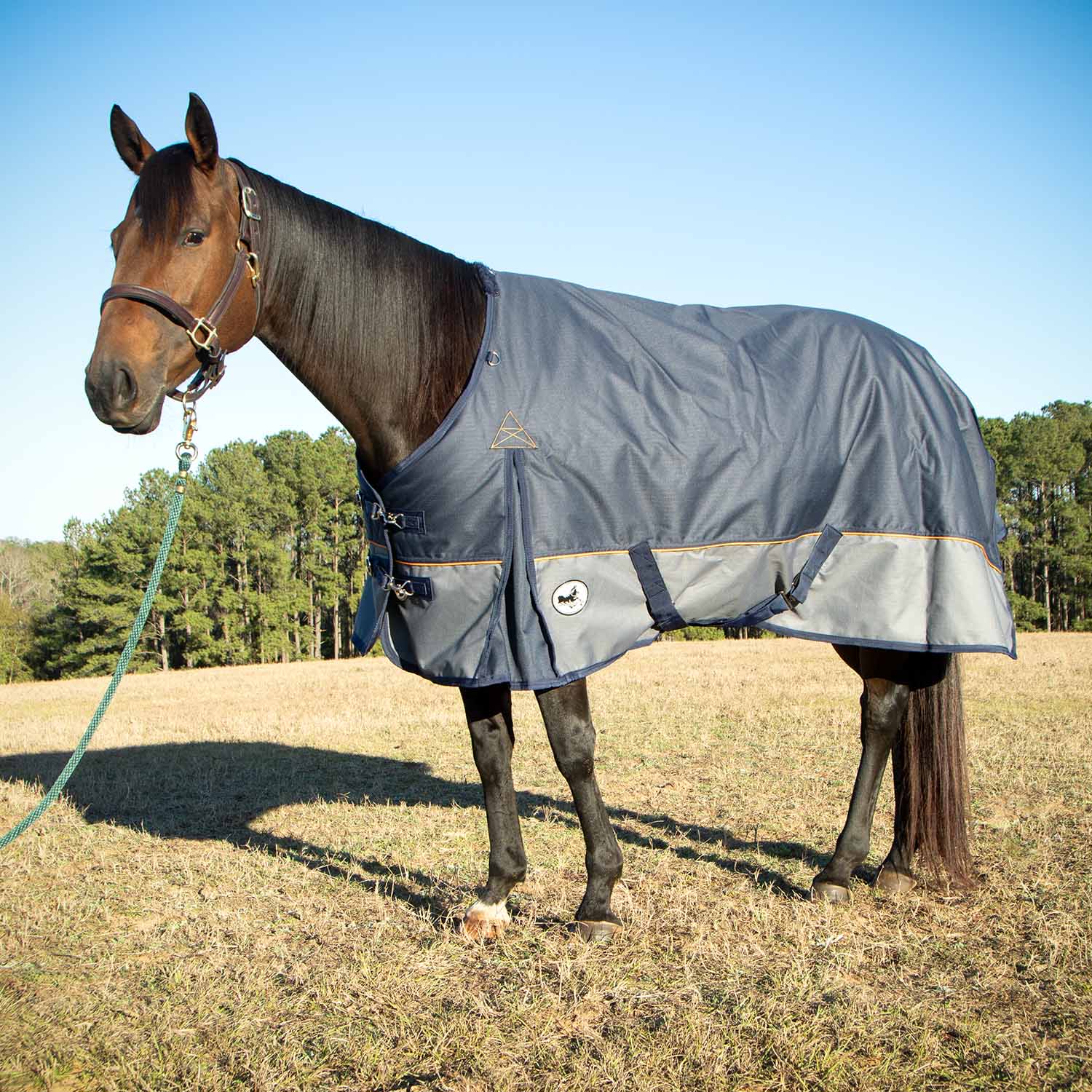 Jeffers Economy Plus 1200 Denier Turnout Blanket with Standard Neck, 240 Gram - Image 1