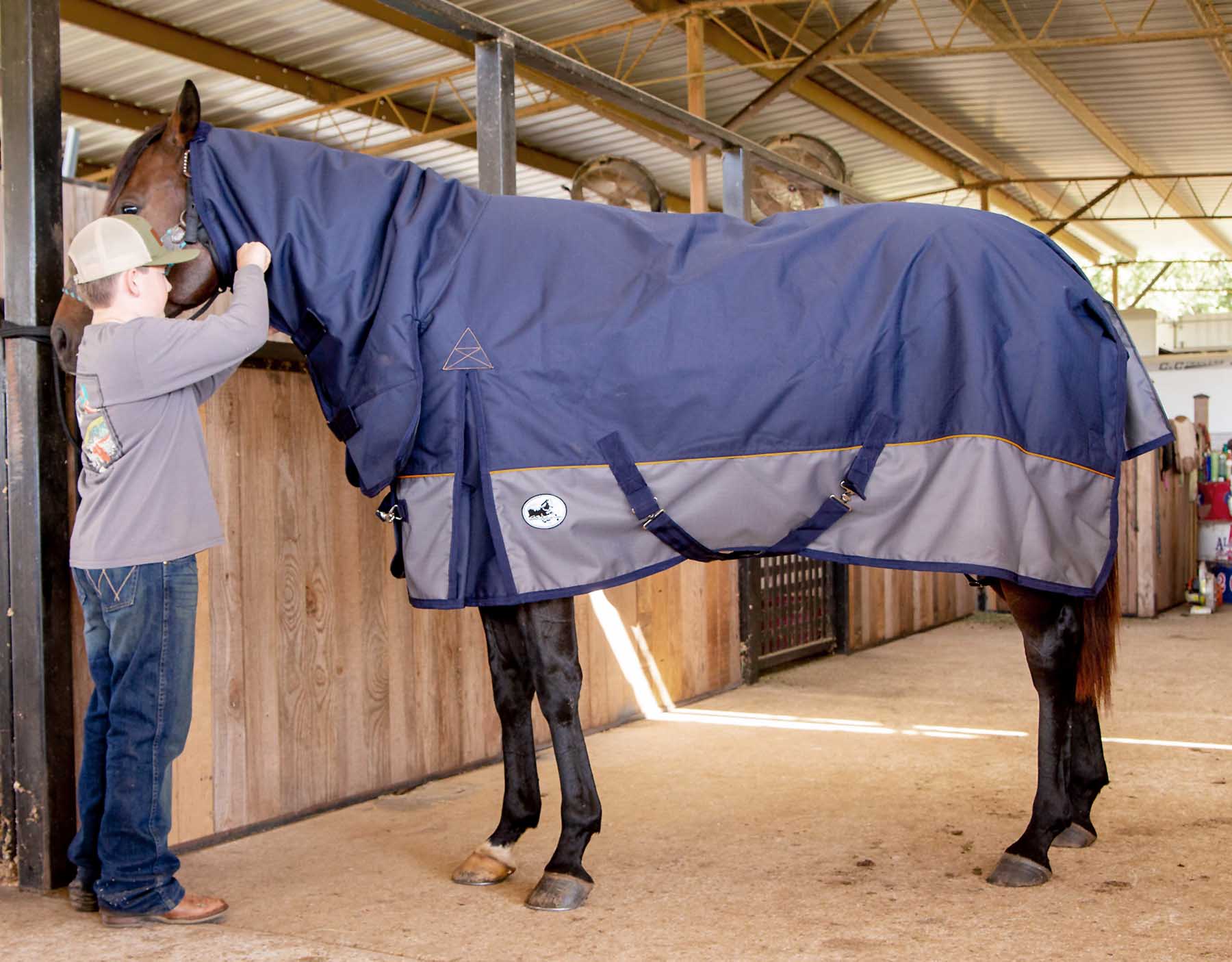 Jeffers Economy Plus 1200 Denier Combo Neck Medium Weight Horse Turnout Blanket, 240 grams - Image 1