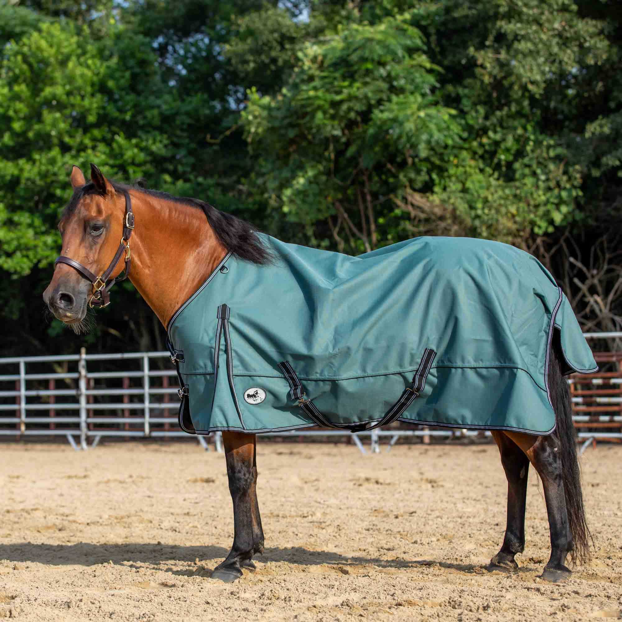 Jeffers Economy Plus Lightweight Standard Neck Horse Horse Turnout Sheet, 1200 Denier, 0 g Fill, Sage Green - Image 1