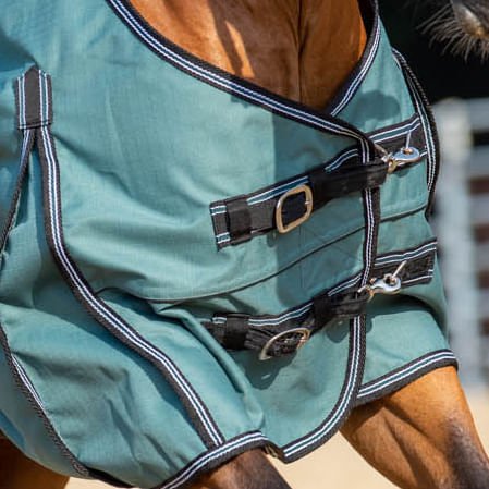 Jeffers Economy Plus Lightweight Standard Neck Horse Horse Turnout Sheet, 1200 Denier, 0 g Fill, Sage Green - Image 2