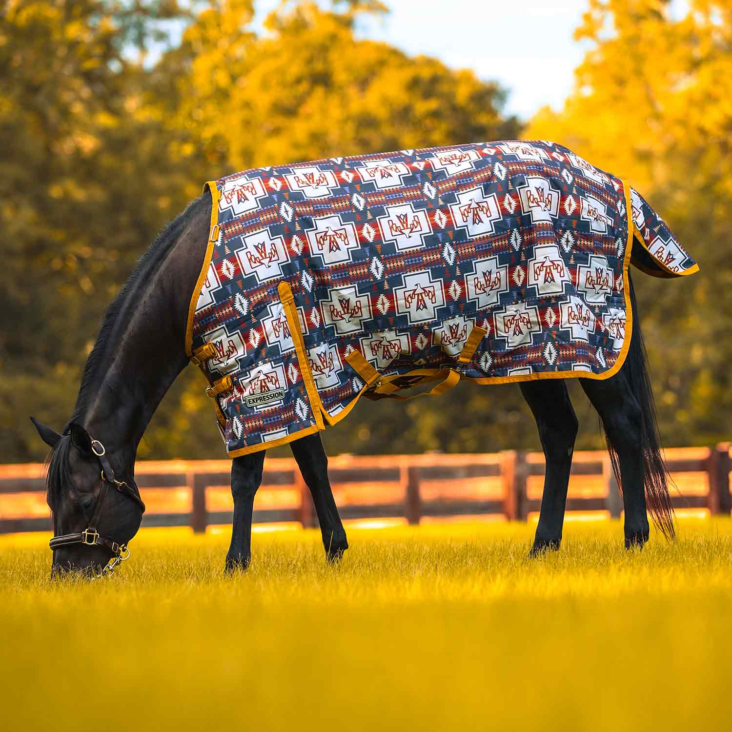 Jeffers Expression 1200 Denier Standard Neck Horse Turnout Sheet, 0 Gram - Image 1