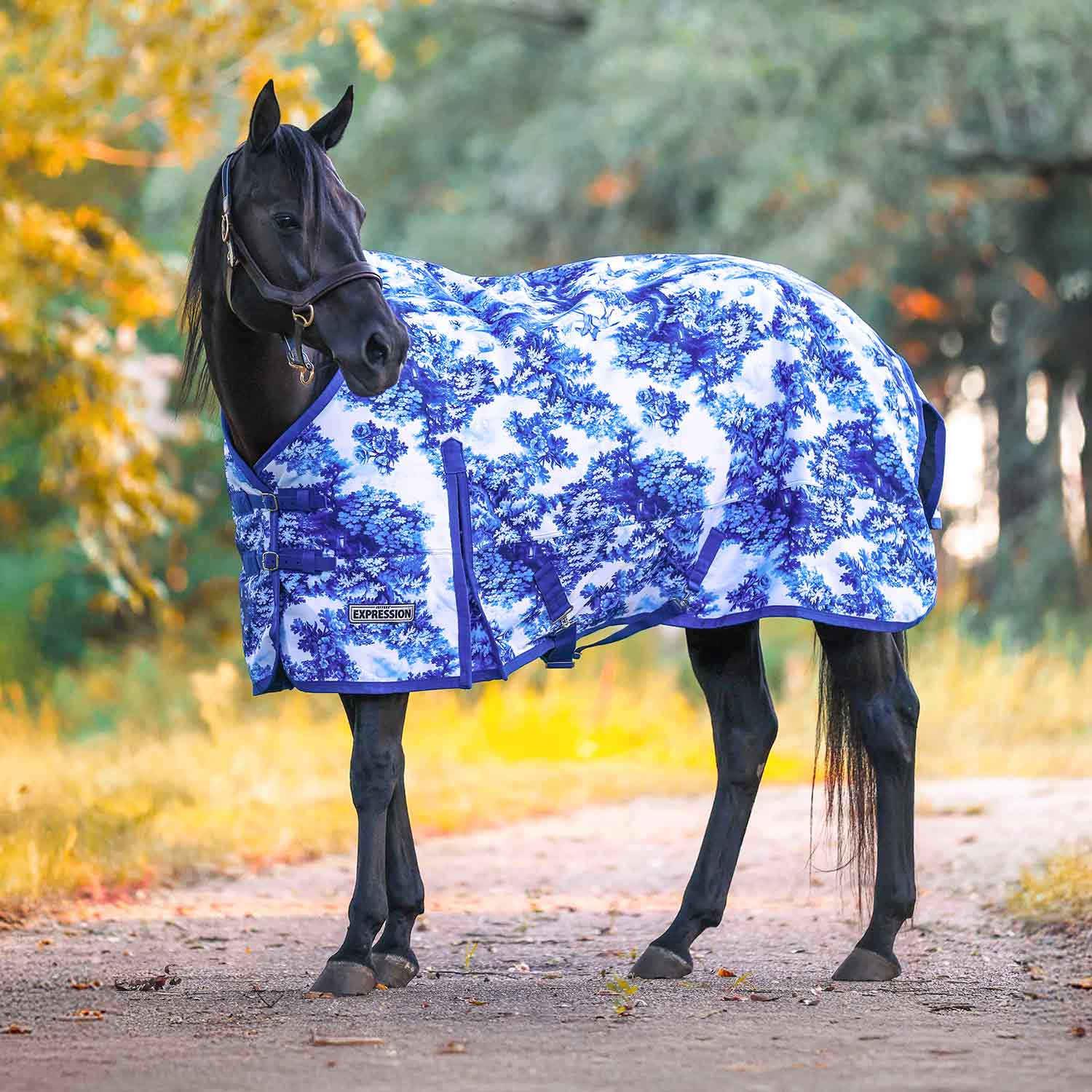 Jeffers Expression 1200 Denier Standard Neck Turnout Horse Blanket, 240 Gram - Image 1