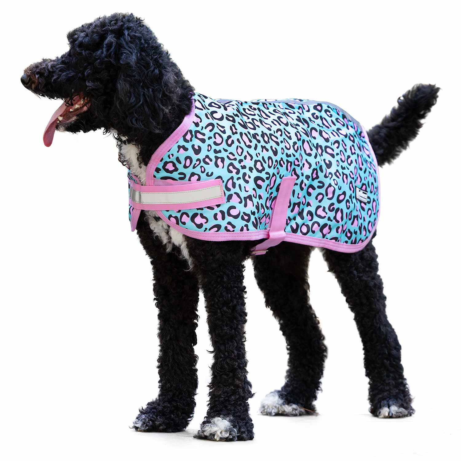 Jeffers Expression 600D Waterproof Ripstop Dog Coat, 240 Gram - Image 1
