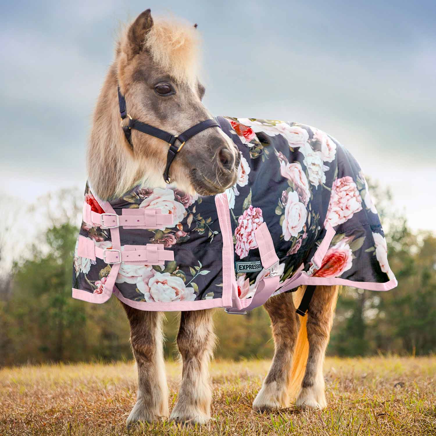 Jeffers Expression Pony 1200 Denier Medium Weight Standard Neck Turnout Blanket, 240g Fill - Image 2