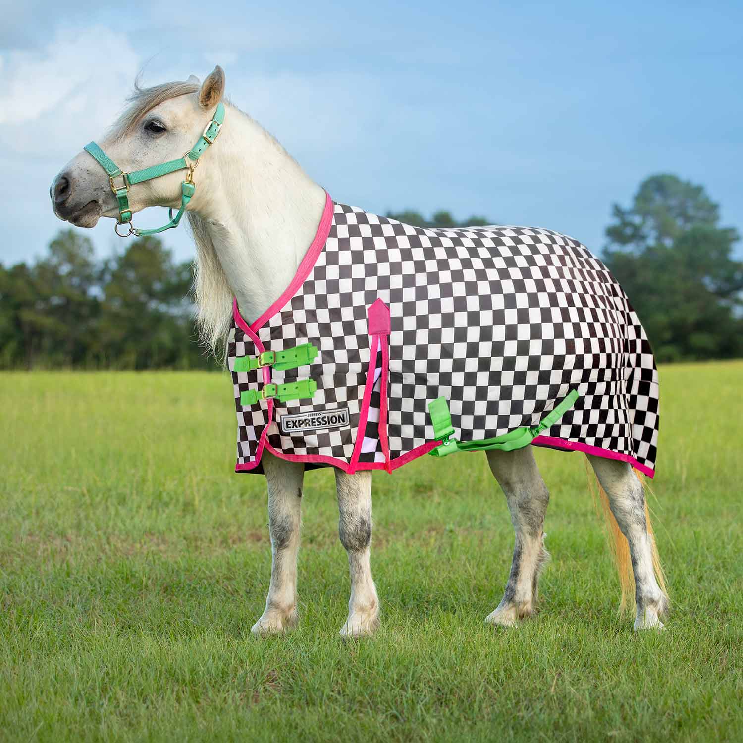 Jeffers Expression Pony 1200 Denier Medium Weight Standard Neck Turnout Blanket, 240g Fill - Image 1
