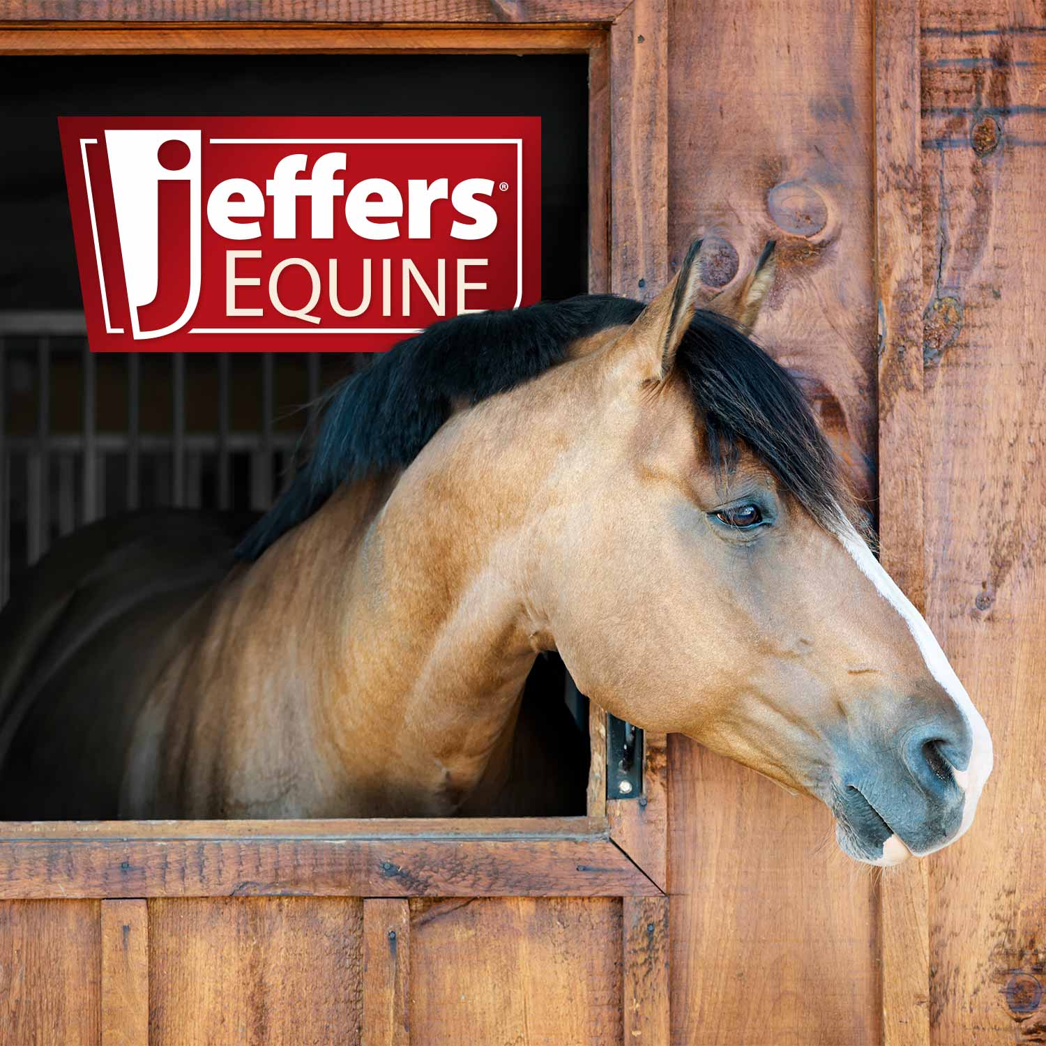 Jeffers Equine No-Rinse Waterless Horse Shampoo - Image 2