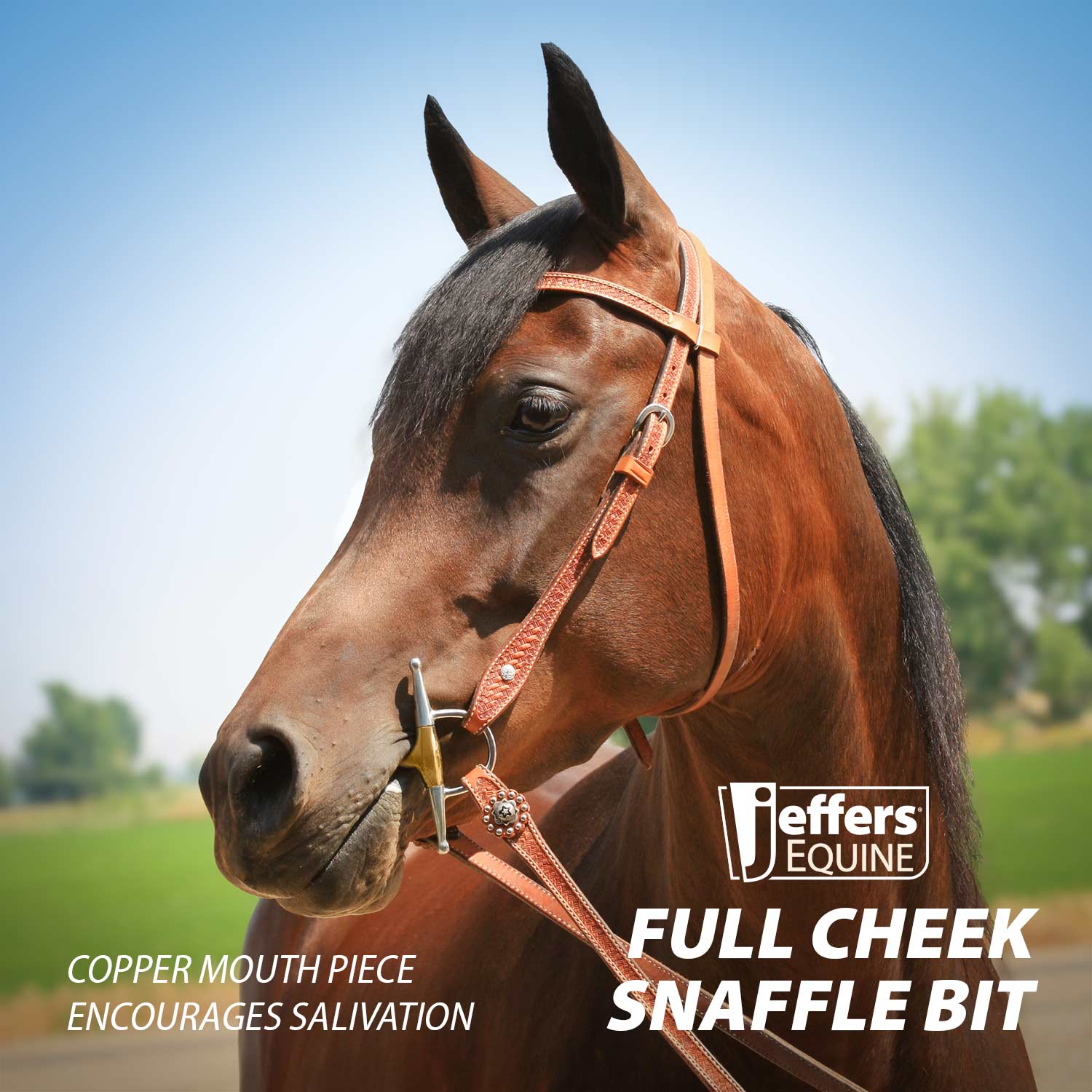 Jeffers Full Cheek Snaffle Horse Bit - Image 3