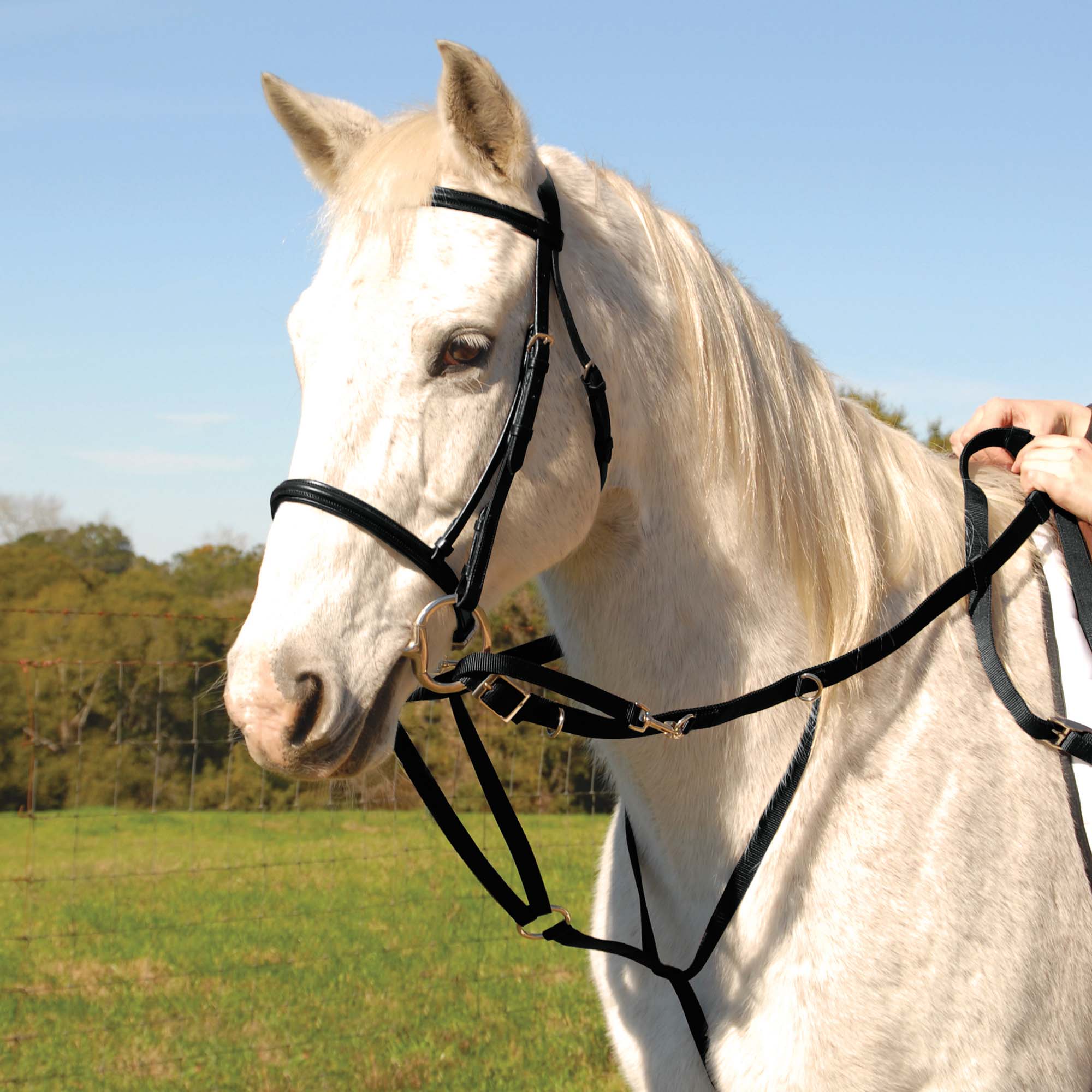 Jeffers German Olympic Running Martingale for Horses with Reins - Image 1