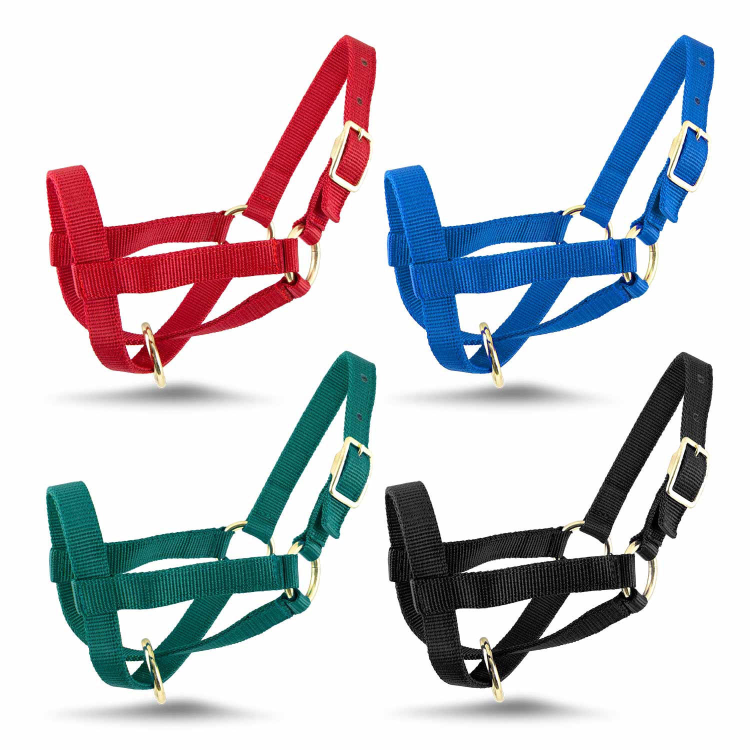 Jeffers Goat Halter - Image 2