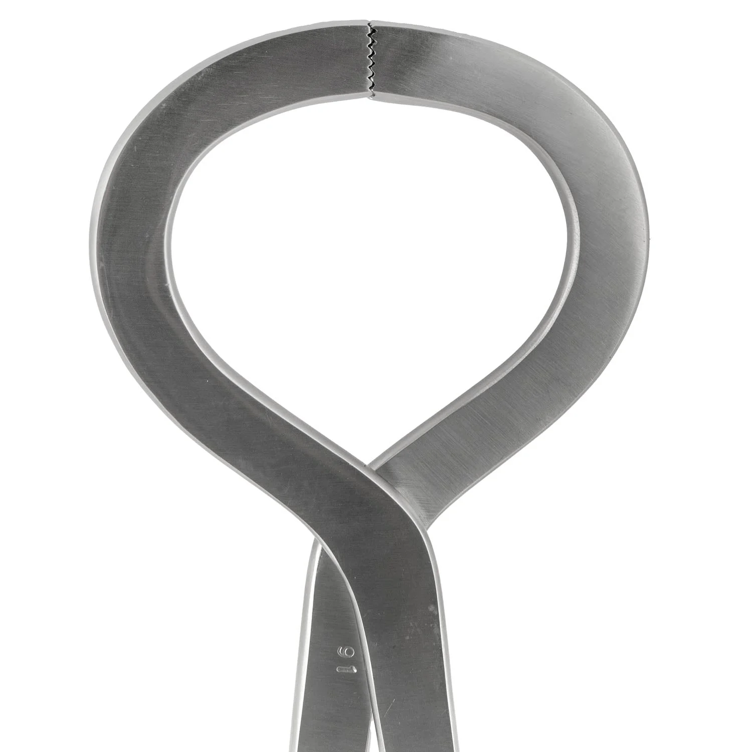 Jeffers Horse Hoof Tester Farrier Tool - Image 3