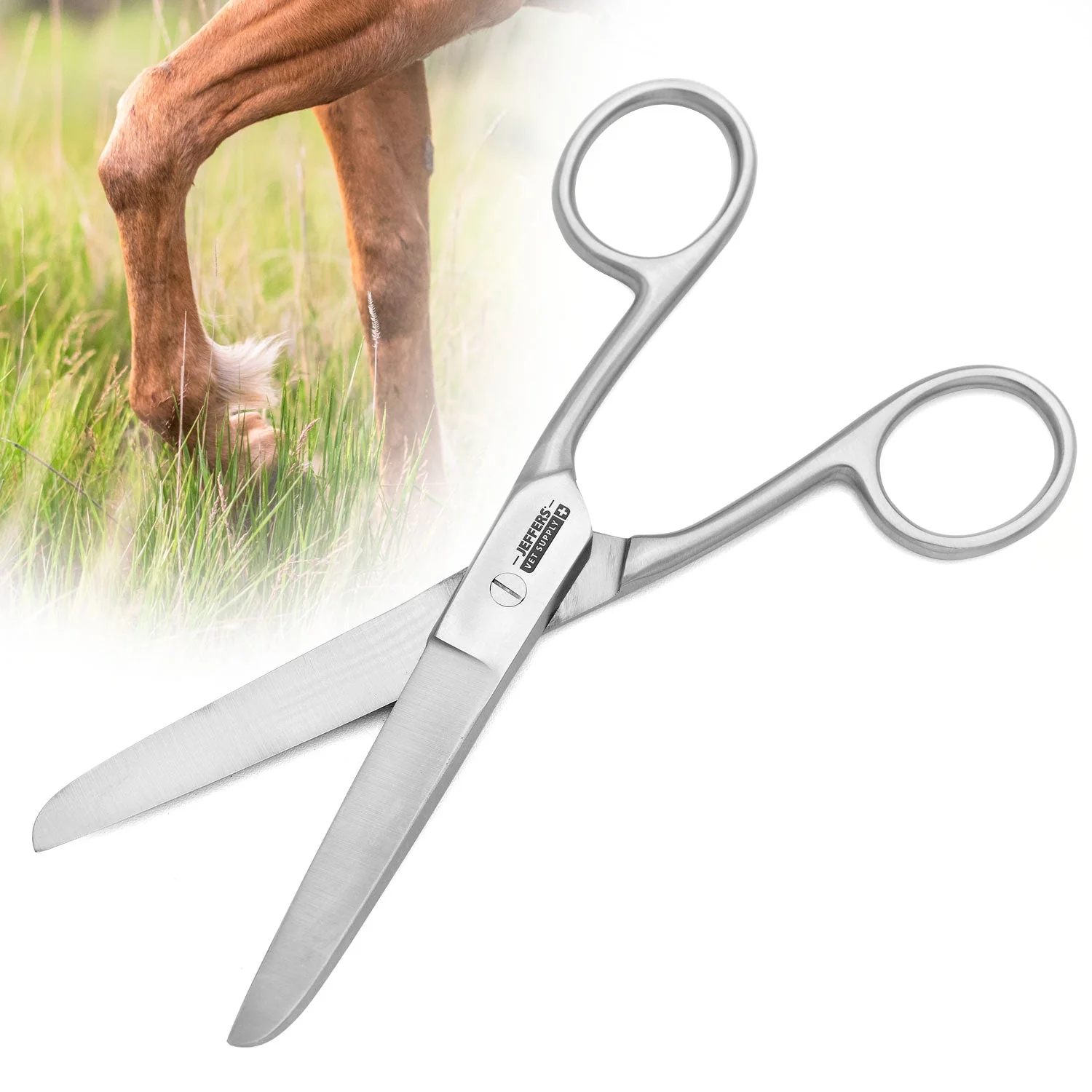 Jeffers Horse Grooming Fetlock Shears, Stainless Steel - Image 1