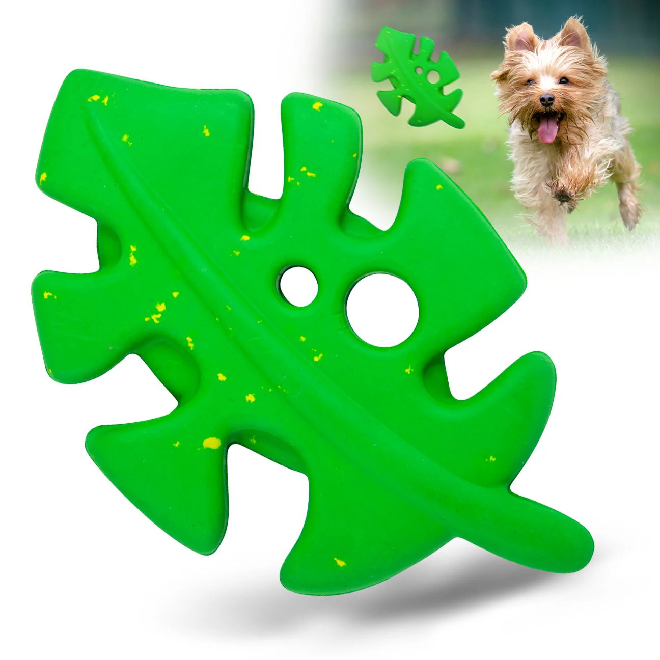 Jeffers Leaf Shaped Natural Rubber Dog Chew Toy with Dental Benefits and Vanilla Scent for Medium Chewers - Image 1