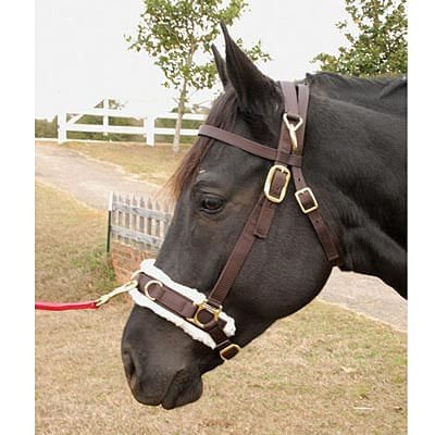 Jeffers Lunging Cavesson with Fleece-Lined Nose for Horses - Image 1