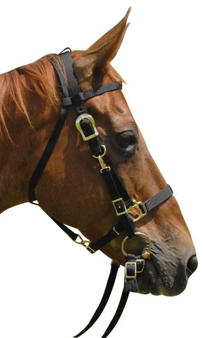 Jeffers Nylon Combination Horse Halter Bridle with Reins - Image 1