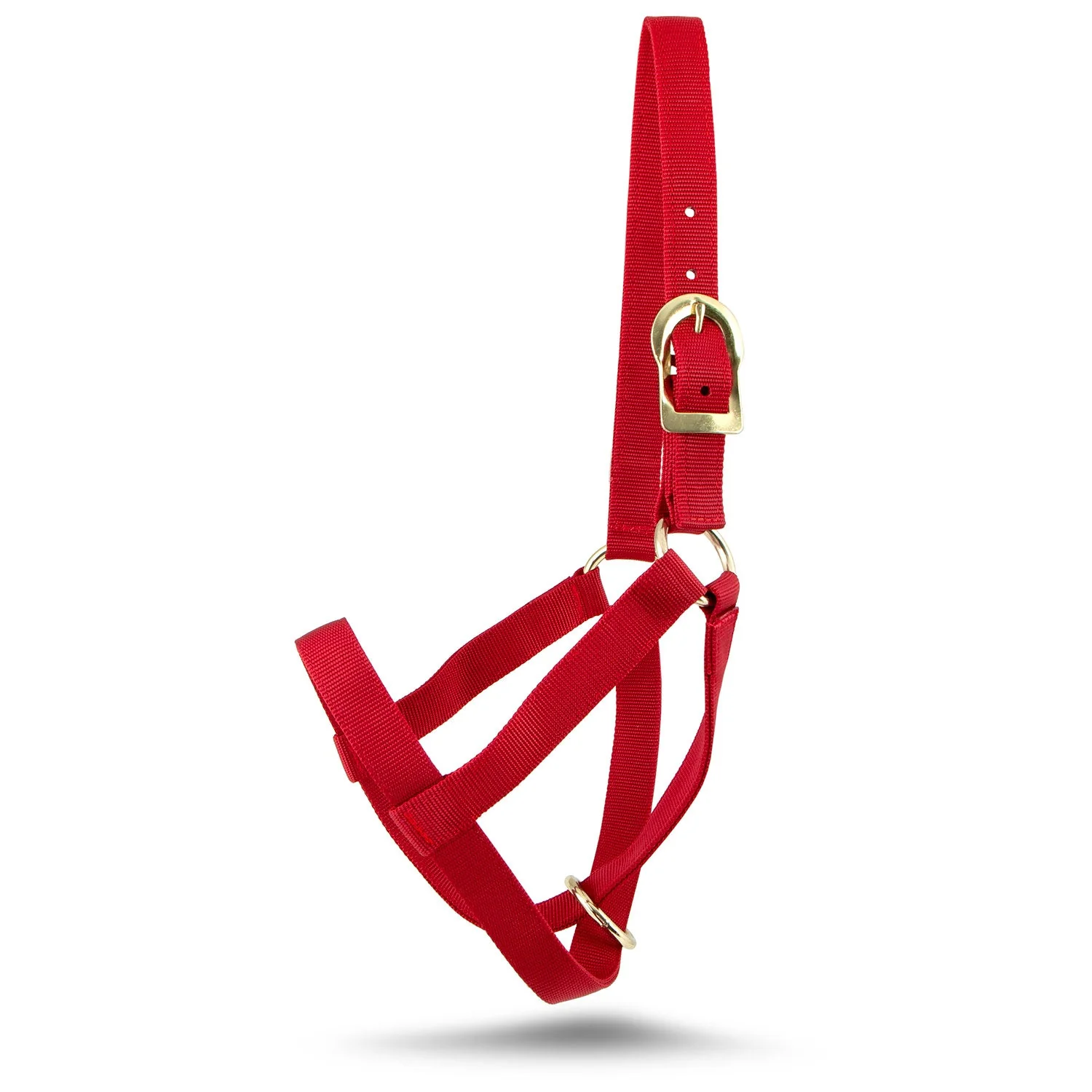 Jeffers Nylon Cow Halter - Image 3
