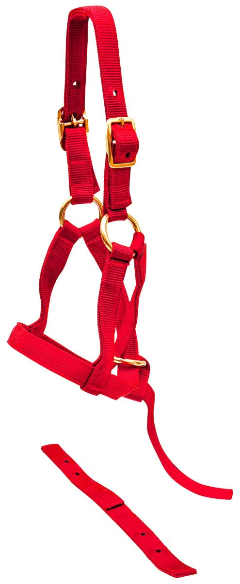 Jeffers Nylon "Grow With Me" Weanling Horse Halter - Image 2