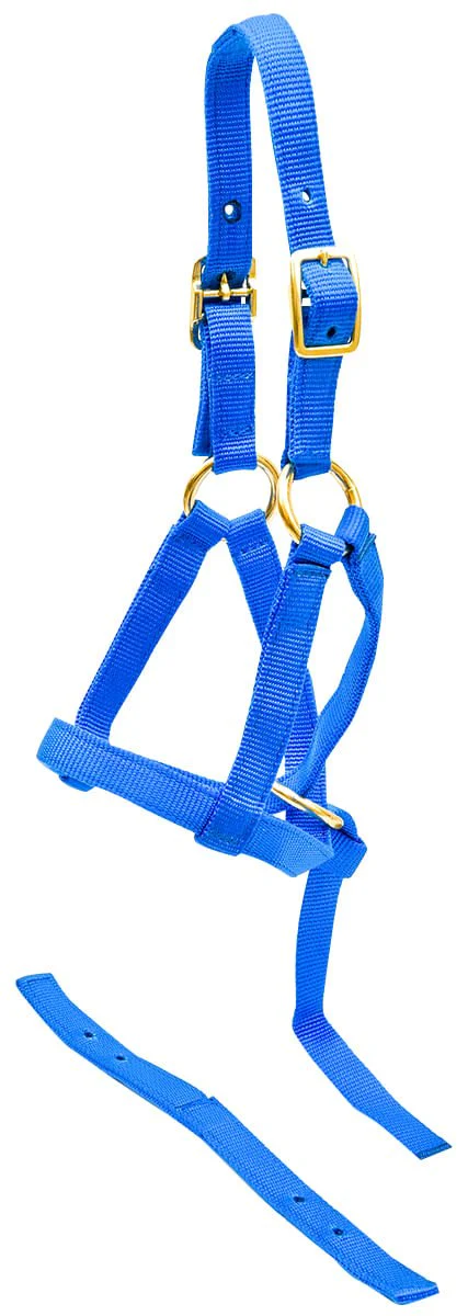 Jeffers Nylon "Grow With Me" Weanling Horse Halter - Image 3