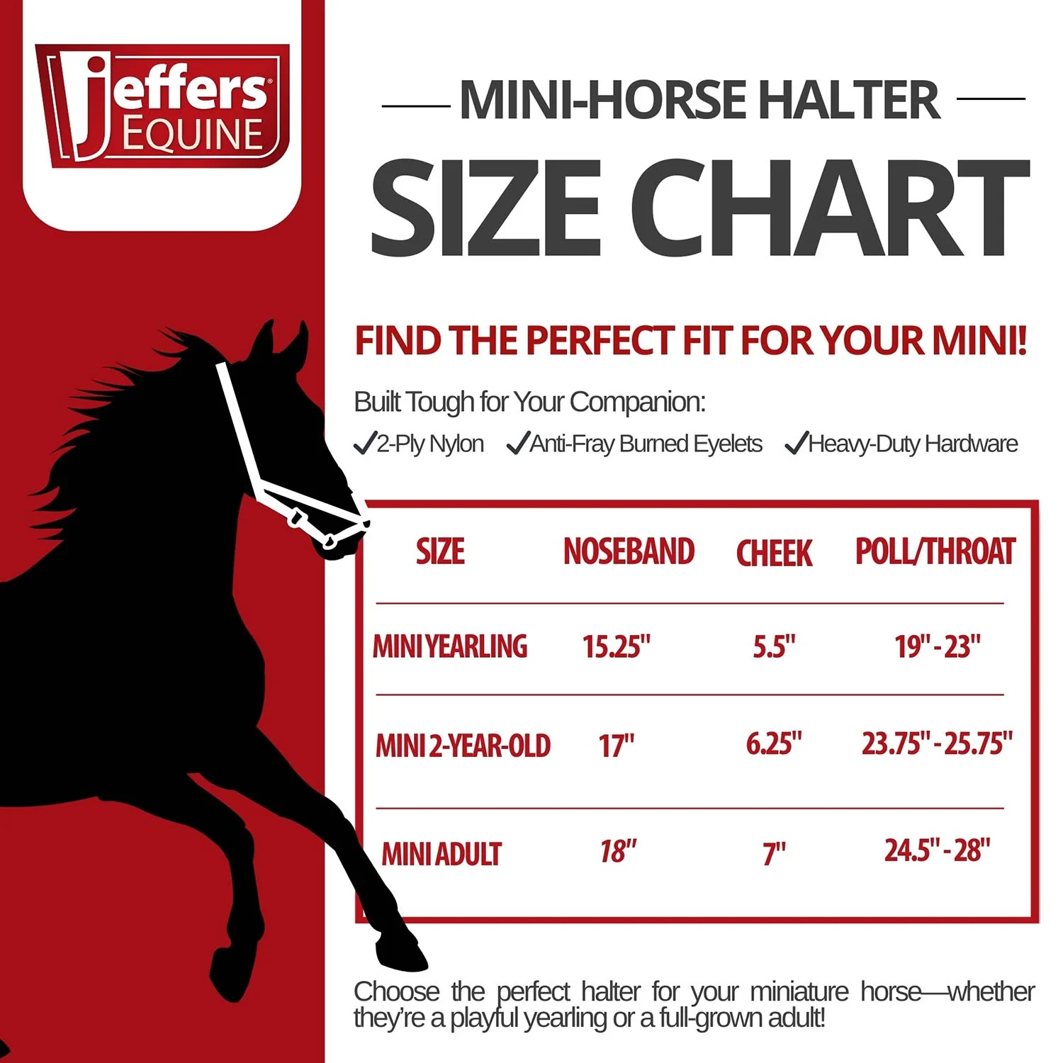 Jeffers Nylon Miniature Horse Halters, 2-Ply, 3/4" - Image 2
