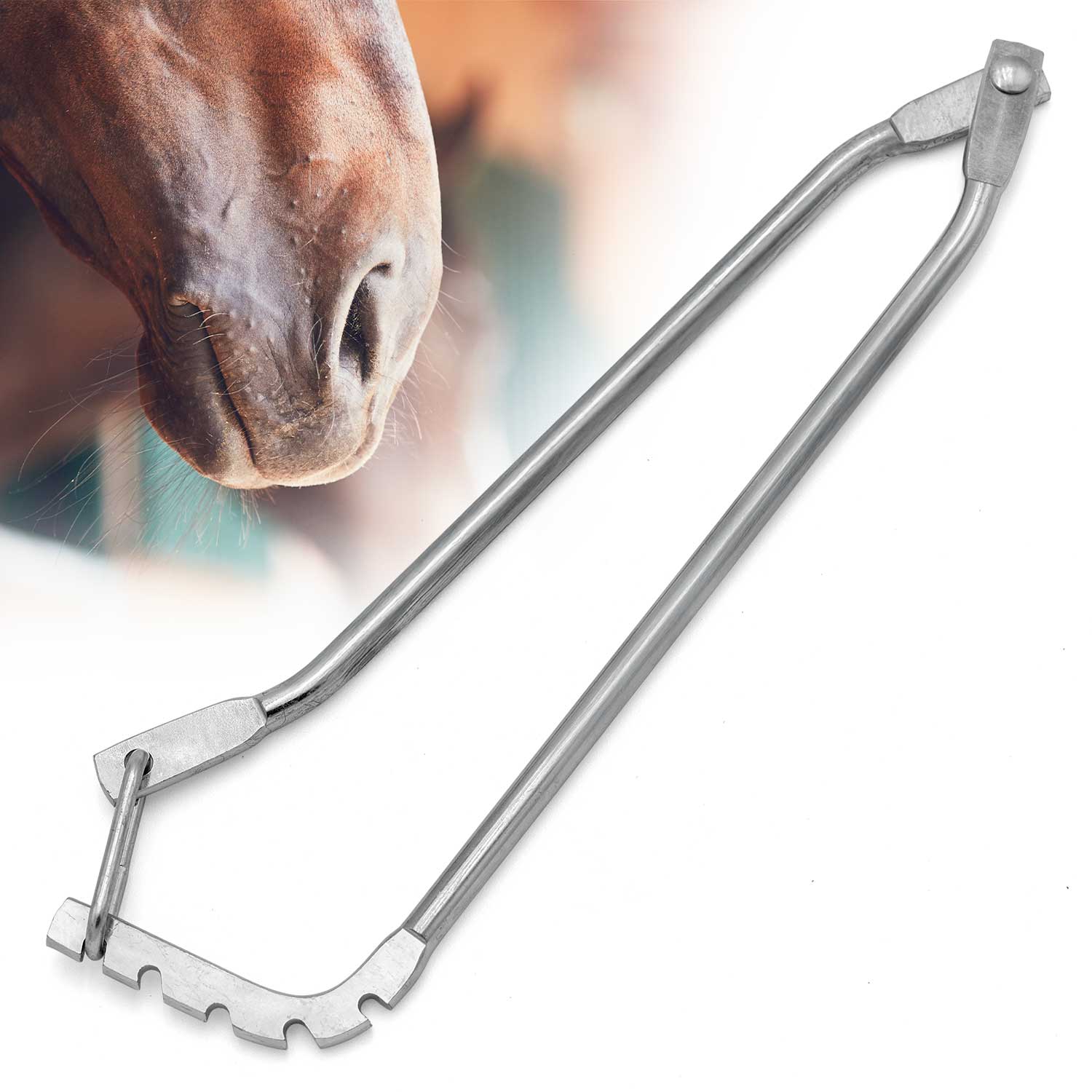 Jeffers One-Man Nickel-Plated Horse Twitch - Image 1