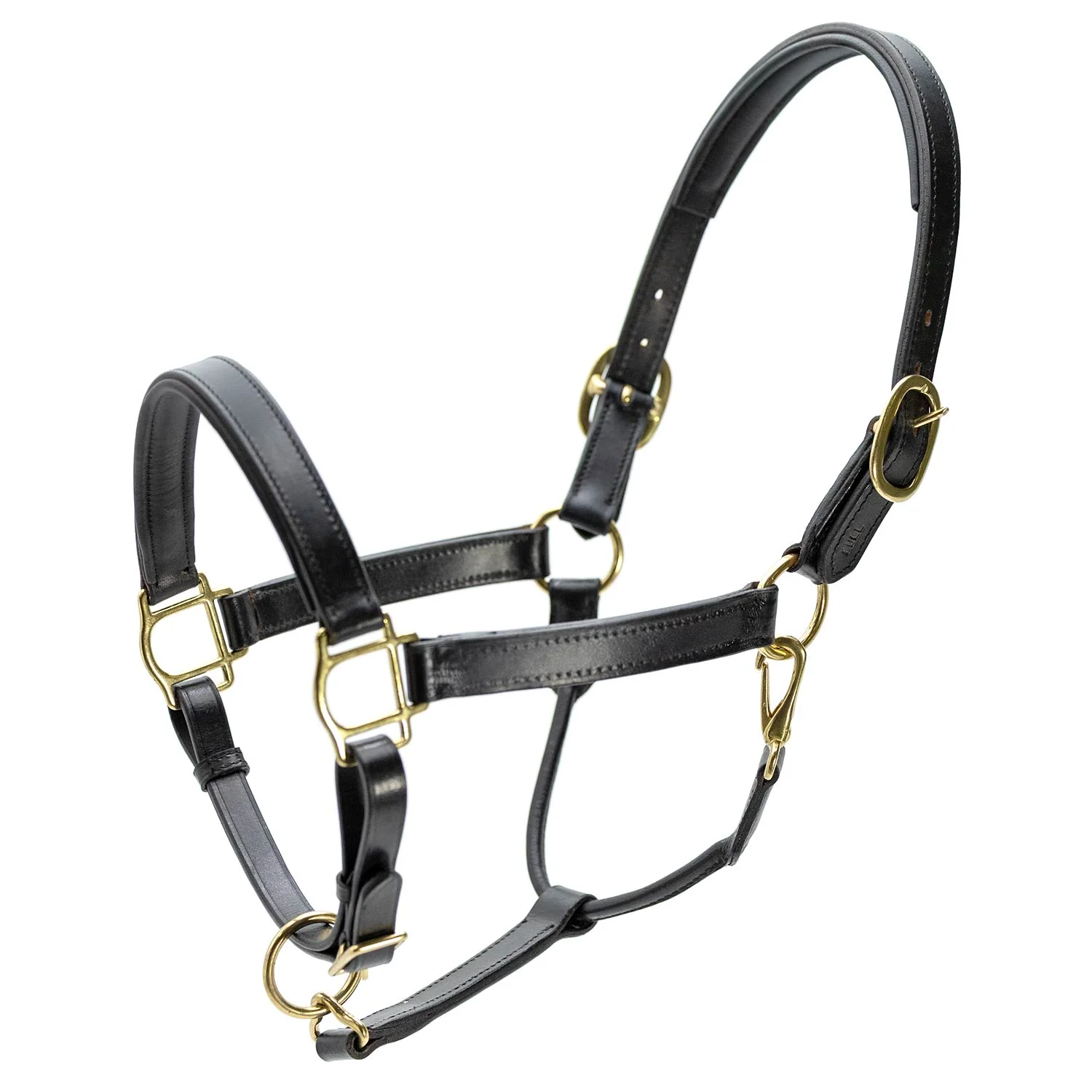 Jeffers Paris Padded Leather Horse Halter with Throat Snap – Adjustable Black Premium Triple Stitching - Image 3