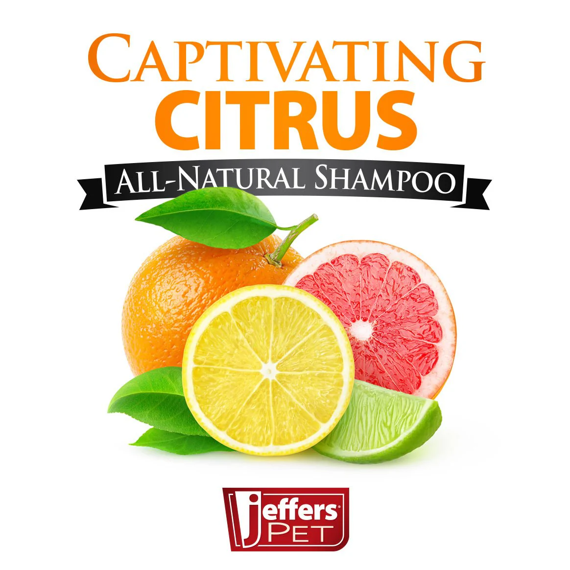 Jeffers Pet Captivating Citrus All-Natural Flea Bite Relief Shampoo for Dogs and Cats - Image 2